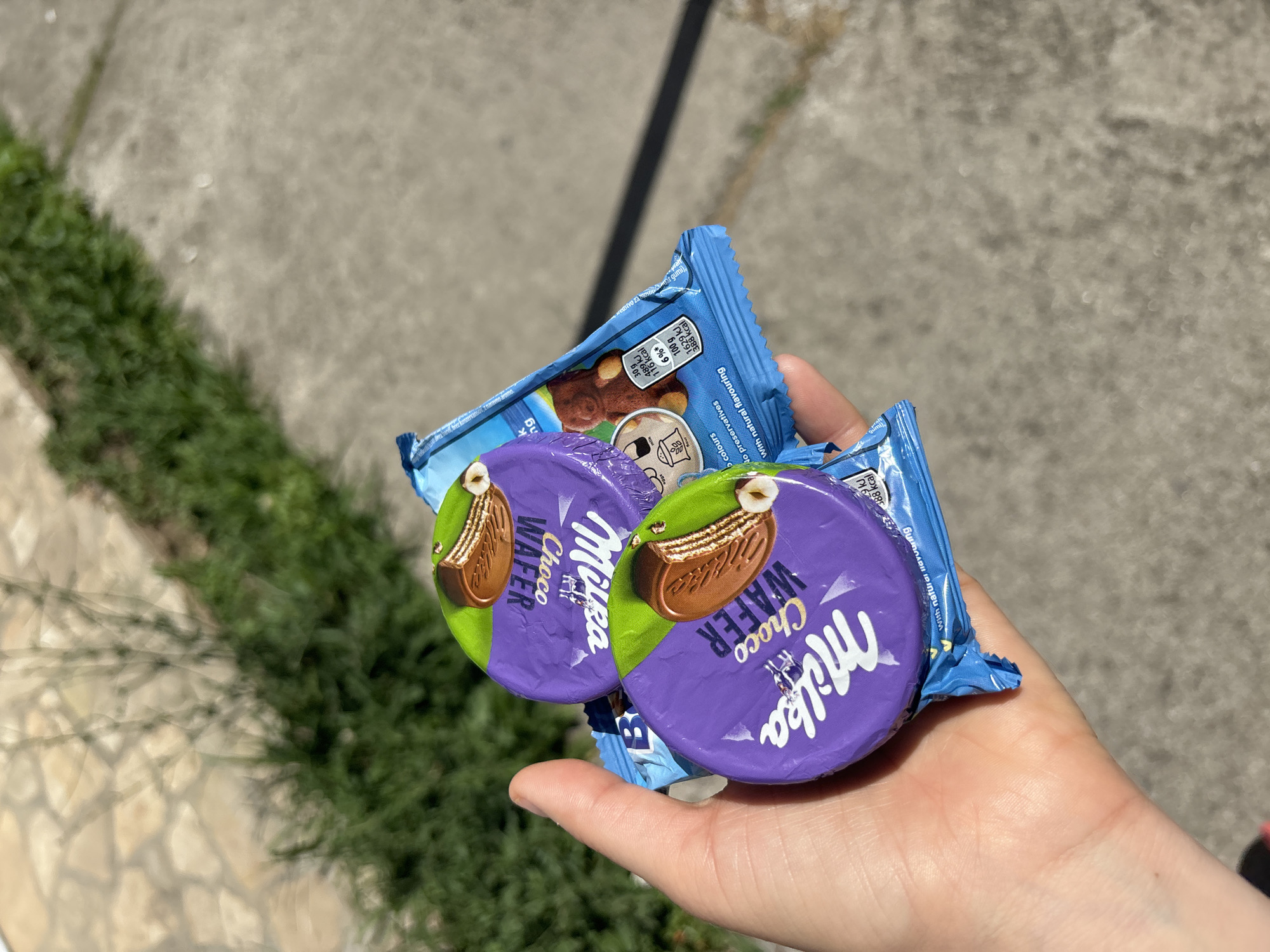A human hand, with light skin tones, is centrally depicted, holding two circular, purple-wrapped snack packages. The thumb and fingers are curled around the items, indicating a firm grasp. Each purple package displays the brand name "Milka Choco WAFER" in white text, featuring an illustration of a chocolate-layered wafer biscuit accompanied by a hazelnut on a green background element.
The individual snack wraps are contained within a larger, crumpled blue plastic bag, parts of which are visible behind and below the purple packages. On the blue packaging, a white nutritional information box is partially visible, showing "30 g," "489 kJ," "116 kcal," and "6%*" for a single serving, and "100 g," "1629 kJ," and "388 kcal" for the product by weight. Text legible on the blue packaging states "No colours," "No preservatives," and "With natural flavouring." An illustration of a bear-shaped biscuit is also present on the blue foil.
The background is an out-of-focus outdoor setting under bright daylight. To the upper left, a paved surface with irregular stone patterns is visible. The central and right portions of the background feature blurred green foliage, likely shrubs or bushes, alongside a grey, textured ground surface, possibly a concrete path or asphalt. Strong, distinct shadows are cast, indicative of direct sunlight. The scene is located in Budva, Montenegro.