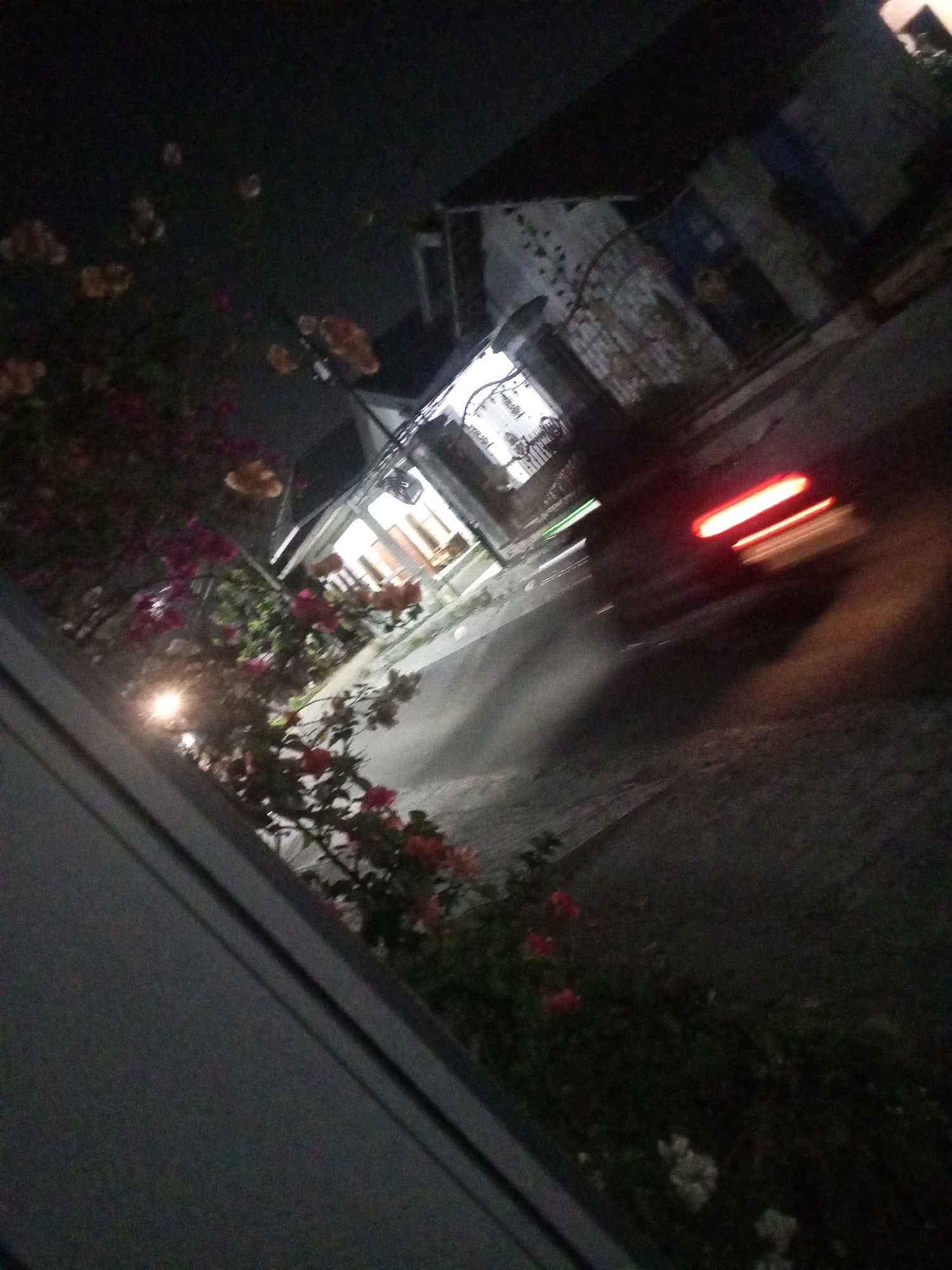The image shows a slightly tilted, nighttime street scene in Ngasem, Indonesia. The foreground is dominated by a blurred, light-colored structure on the left, possibly a wall or building facade. To the right of this structure, a cluster of flowering plants with pink and orange blossoms is visible. Beyond the plants, a street stretches into the background, illuminated by the ambient light from buildings and a moving vehicle. The vehicle is a prominent feature, with its red taillights blurred into streaks of light due to motion. The buildings lining the street appear to be residences or small businesses, with some lights visible from within. The overall impression is that of a quiet, residential street at night, with a sense of movement and activity from the passing car.