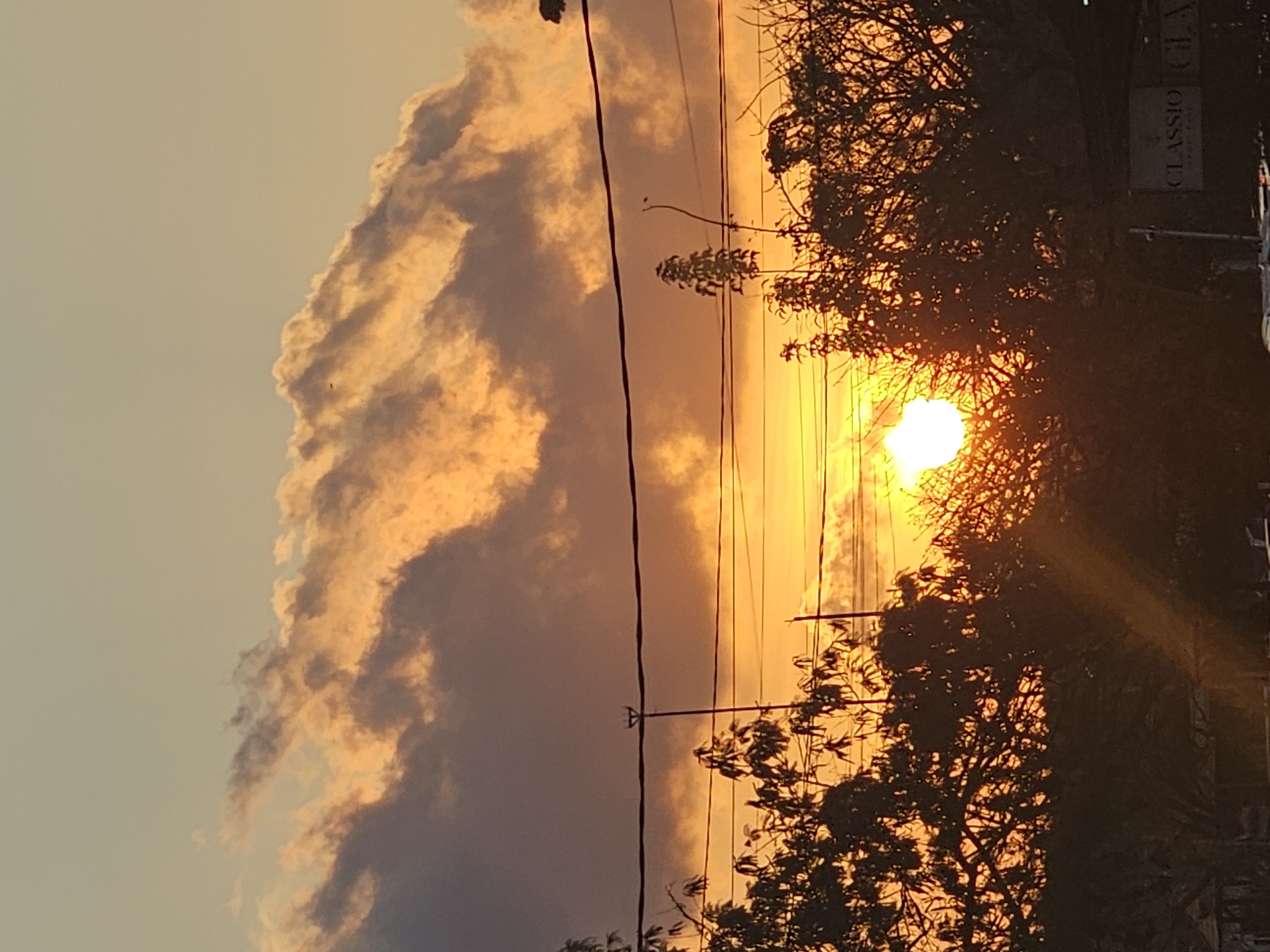 The image depicts a sunset viewed through silhouetted trees and overhead power lines in Denpasar, Indonesia. The sun, a bright orb, is low on the horizon, partially obscured by tree branches and radiating golden light. Cumulus clouds are illuminated by the setting sun, displaying hues of orange, yellow, and purple against a pale blue sky. The foreground features dark silhouettes of trees and foliage, with faint hints of structures at the bottom. A sign with the word "CLASSIC" is partially visible. The scene conveys a tranquil, natural ambiance typical of a tropical sunset.