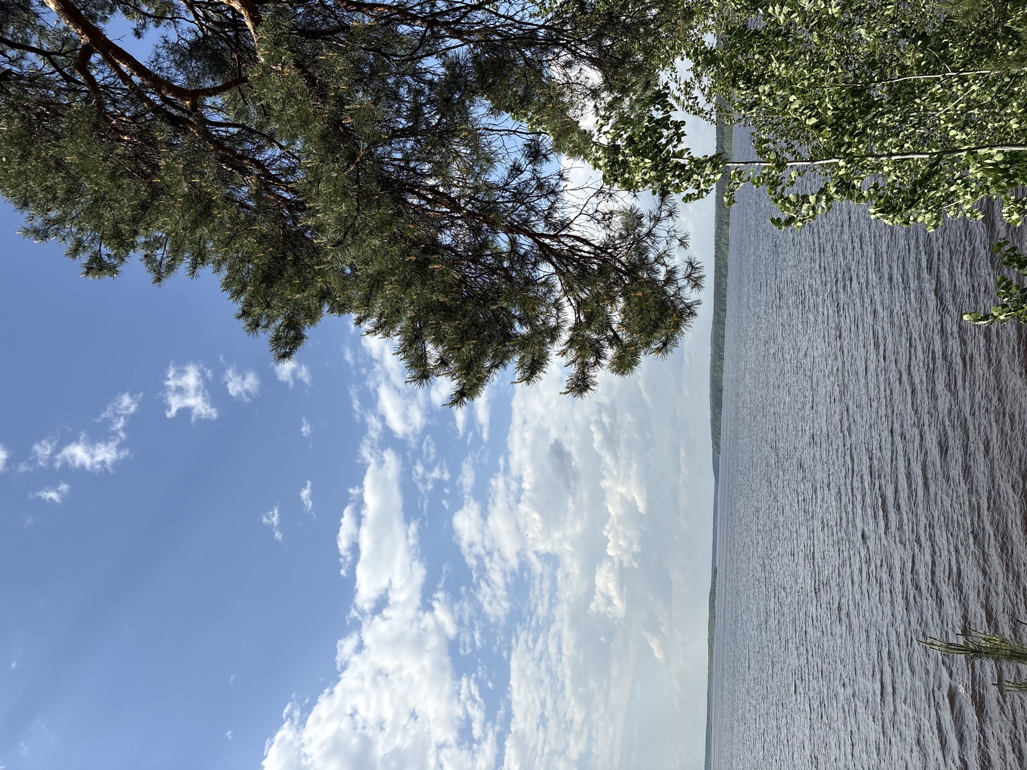 The image depicts a landscape with a body of water, likely a lake or wide river, under a partly cloudy sky. Tree branches frame the top portion of the scene. The water surface is textured with small waves, suggesting a slight breeze. The sky features a mix of blue and white clouds. Based on the prompt, the location is Izhevsk, Russia, though this is not visually verifiable from the image alone. No people or specific objects beyond the natural elements are visible. The environment is natural, suggesting a location on the outskirts or within a park area of the city.