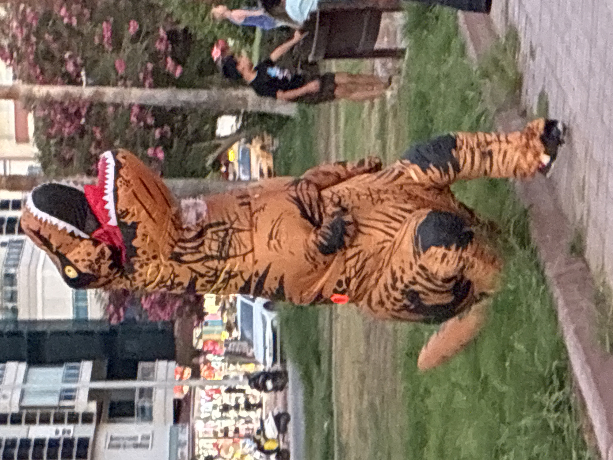 A person in a full-body inflatable Tyrannosaurus Rex costume stands on a paved walkway in Alanya, Turkey, near a grassy area and trees with pink flowers. The costume is orange with black tiger-like stripes and has large teeth. In the background, buildings, a street with vehicles including a white car and scooters, and other pedestrians are visible. One pedestrian, a young male in a black t-shirt and shorts, is looking towards the T-Rex. Another pedestrian, a female in a blue top, is further in the background. The lighting suggests it is late afternoon or early evening.