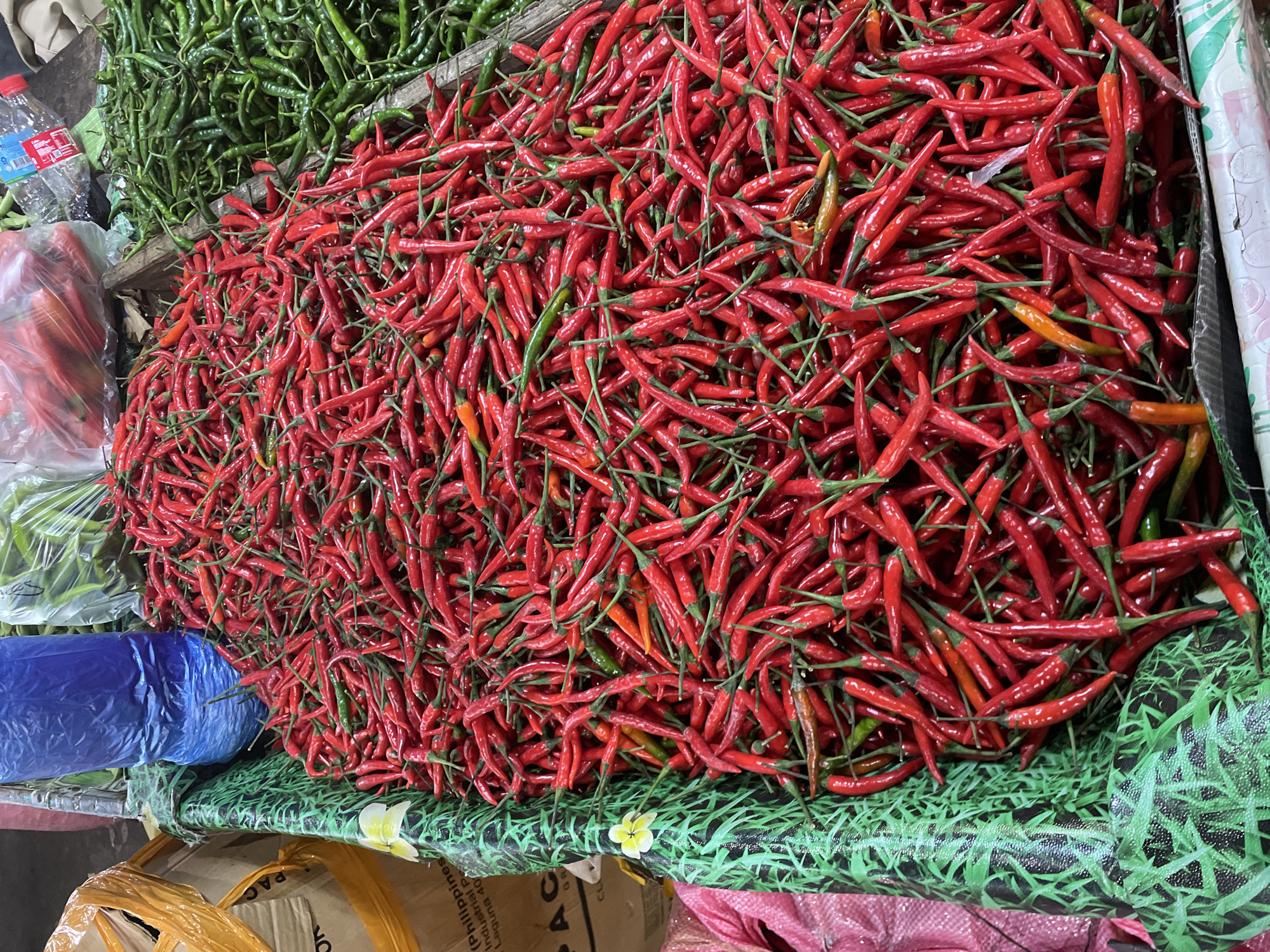 This image, purportedly captured in Davao City, Philippines, presents an overhead view of a market stall featuring a large quantity of chili peppers. The central and dominant subject is a substantial pile of small, vibrant red chili peppers, many retaining their green stems, displayed in a wide, shallow container. A few green and orange peppers are interspersed within the red pile.
To the right of the red peppers, separated by a dark wooden divider, is an equally large mound of green chili peppers, similar in size and shape to the red ones. The container holding the red peppers has a dark green plastic lining patterned with light green grass blades and a small, stylized white-yellow flower on its left edge.
In the upper-left background, several stacked cardboard boxes are visible. One box displays partial text, including "Philippines," "Industrial Products," and "Laguna 40," with "PAC" also discernible. A bright yellow plastic bag is positioned on top of one of these boxes. Behind the chili display, a crumpled blue plastic bag stands upright. Further back, various other market items are present, including clear plastic bags containing reddish produce, possibly more peppers, and a clear plastic water bottle with a red cap. Additional green leafy vegetables are partially visible in the distant background. A pink or purple woven sack is visible at the bottom-left corner of the frame. No individuals, specific actions, or interactions are visible within the captured scene, which focuses exclusively on the displayed produce and market setting.