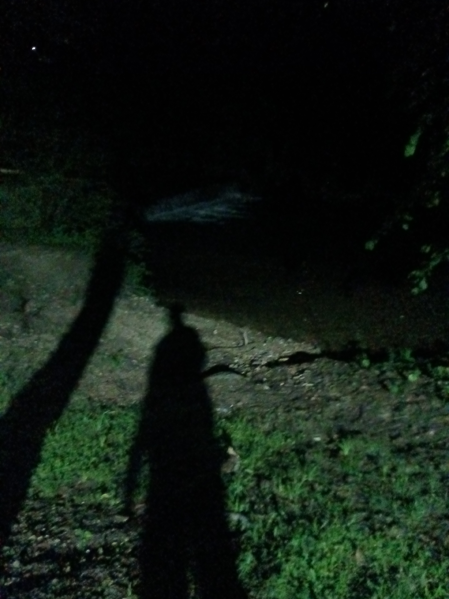This dimly lit image captures an outdoor natural environment at night in Tahlequah, United States of America. The scene is dominated by profound darkness, with limited light sources.
In the foreground, the ground is uneven, composed of dark soil, sparse patches of green grass, and scattered debris. Two prominent, dark shadows stretch across the ground: a long, narrow shadow, possibly from a tree trunk or pole, and a distinct human-shaped silhouette, indicating the presence of the photographer or another individual.
In the middle ground, a dark body of water, likely a creek or stream, reflects faint light on its surface, creating a subtle sheen. The background and upper portions of the image are almost entirely dark, showing only indistinct outlines of trees or dense foliage along the edges. A tiny, bright speck, possibly a distant star or artificial light, is visible in the upper left corner of the dark sky.
The overall impression is one of quiet solitude and mystery, typical of a natural setting after dark. No specific activity is depicted other than the act of capturing the scene. There is no visible text in the image.