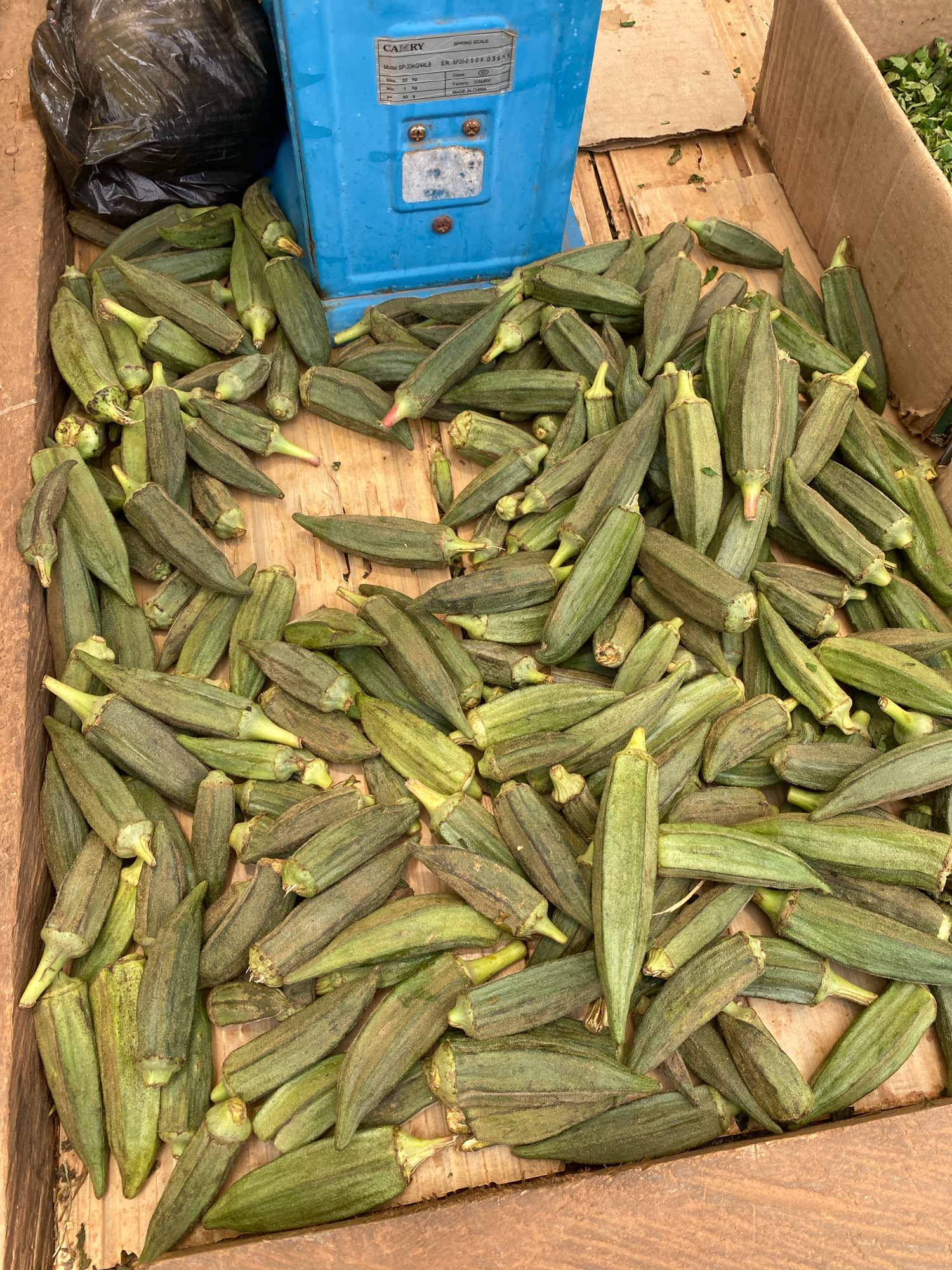 This is a close-up, overhead shot of a pile of fresh green okra pods. The okra is arranged in a wooden crate. In the background, to the left, is a black plastic bag and a blue weighing scale. To the right, a portion of a brown cardboard box is visible. The scene appears to be a market stall in Iworoko, Nigeria. There are no people visible in the image, and the focus is entirely on the okra and its immediate surroundings. The lighting is natural and appears to be from above, casting subtle shadows on the okra.