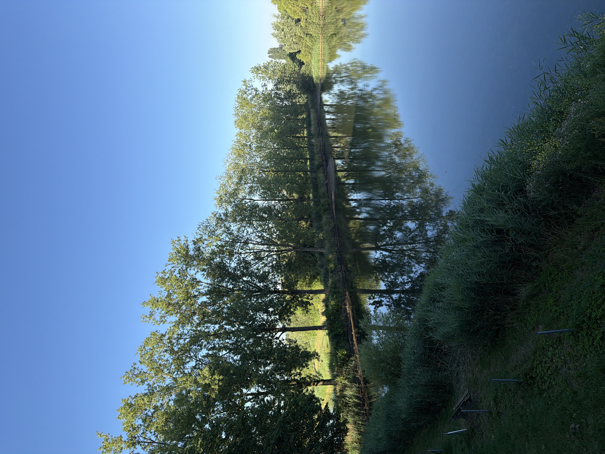 The image depicts a tranquil natural scene, likely a park or a natural reserve. On the left side of the frame, a body of water reflects the clear blue sky and a line of tall, leafy trees. The trees are lush green and appear to be in full leaf, suggesting a temperate climate and a season like late spring or summer. The water's surface is calm, with only slight ripples, allowing for a clear reflection of the trees and sky.
The shoreline is lined with dense, tall green reeds and other aquatic vegetation. Beyond the reeds, a grassy embankment slopes upwards. On this embankment, a rustic wooden bench is visible, accompanied by a few metal posts. Further back, more trees and foliage create a dense green backdrop, hinting at a wooded area. The overall impression is one of a serene, unpopulated natural environment, possibly a public space for relaxation and contemplation.
The image is set in the city of Druten, Netherlands, and showcases a typical natural landscape found in the region. The clean sky and the vibrant greenery suggest pleasant weather conditions. There are no people visible in the frame, and no actions or interactions are taking place, emphasizing the quiet and still nature of the scene. The focus is on the natural beauty of the water, trees, and vegetation, with the bench offering a solitary point of human interaction with this environment.