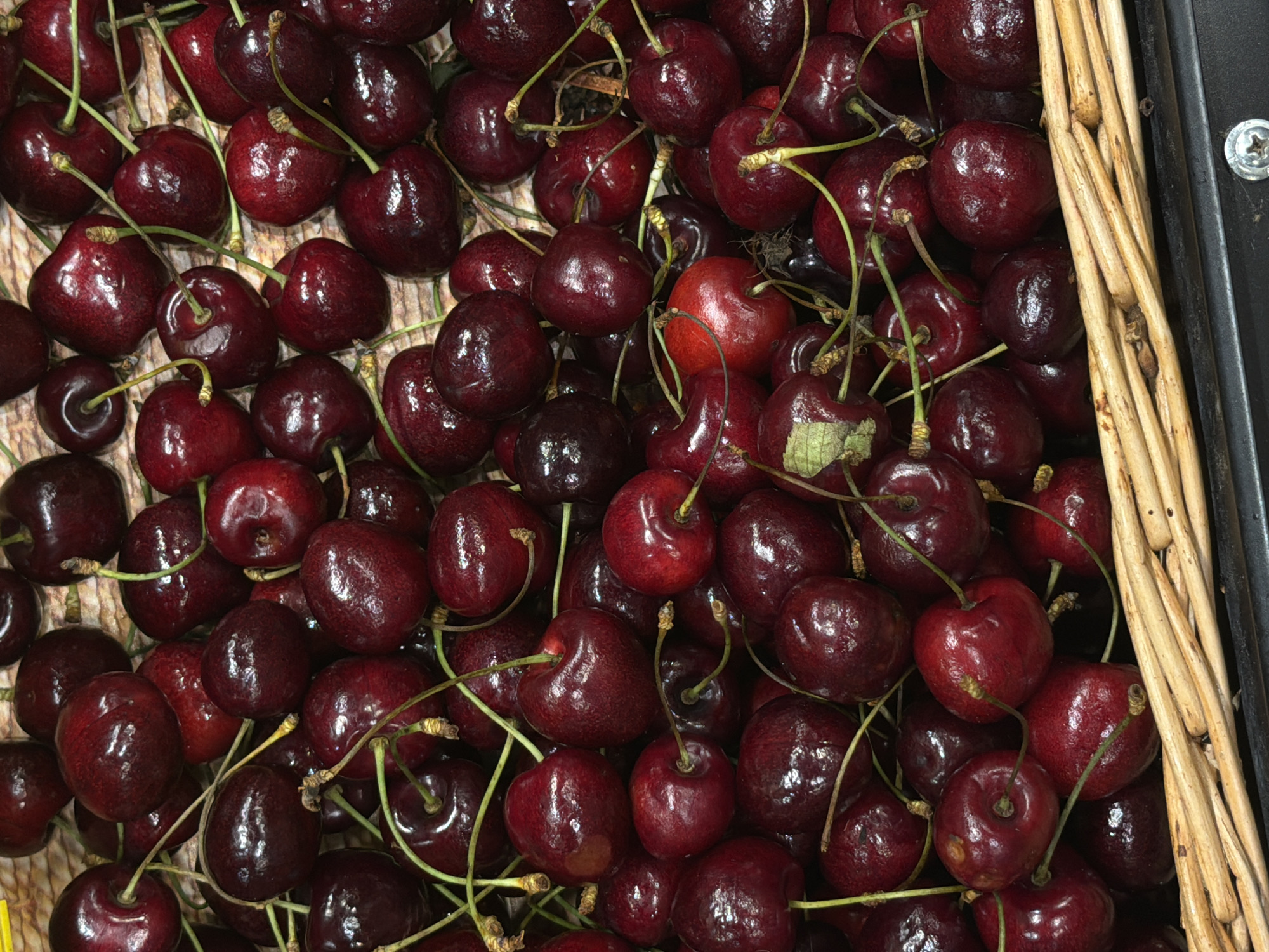 The image displays a close-up, overhead view of a pile of ripe, dark red cherries. The cherries are mostly round with some slightly heart-shaped, and they have thin, light green stems attached. The surface of the cherries is glossy, reflecting the light. Some cherries have slight blemishes or are clustered together. The cherries appear to be contained within a dark-colored bin, with the edge of a woven basket visible in the foreground. The background is textured, suggesting a surface like wood or straw. There are no people or city elements visible, and the location in Perm, Russia, is not discernible from the image itself.