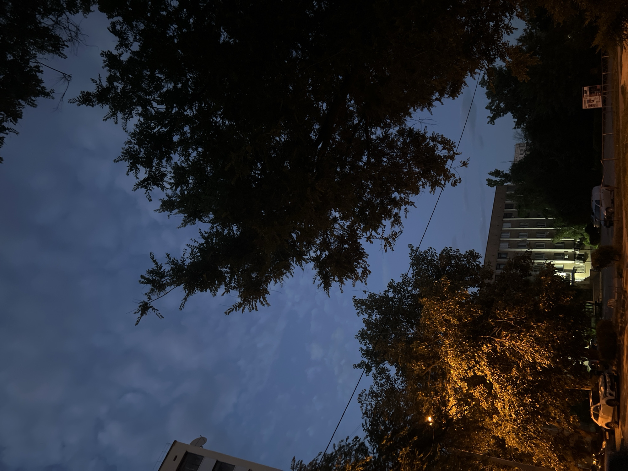 The image depicts a low-angle view of trees against a twilight sky. The sky is a deep blue with scattered clouds, suggesting it is either early morning or late evening. The leaves of the trees are dark silhouettes, though some on the right side are illuminated by an unseen light source, casting an orange glow.
In the background, a multi-story building with numerous windows is visible, partially obscured by trees. To the right of the building, a street or road runs parallel to it, with a parked white car visible. The overall setting appears to be a residential or urban area.
There is no discernible activity or event taking place. The scene evokes a sense of calm and quiet. The lighting suggests a transitional period of the day, contributing to a slightly mysterious or serene atmosphere. No text is visible in the image.