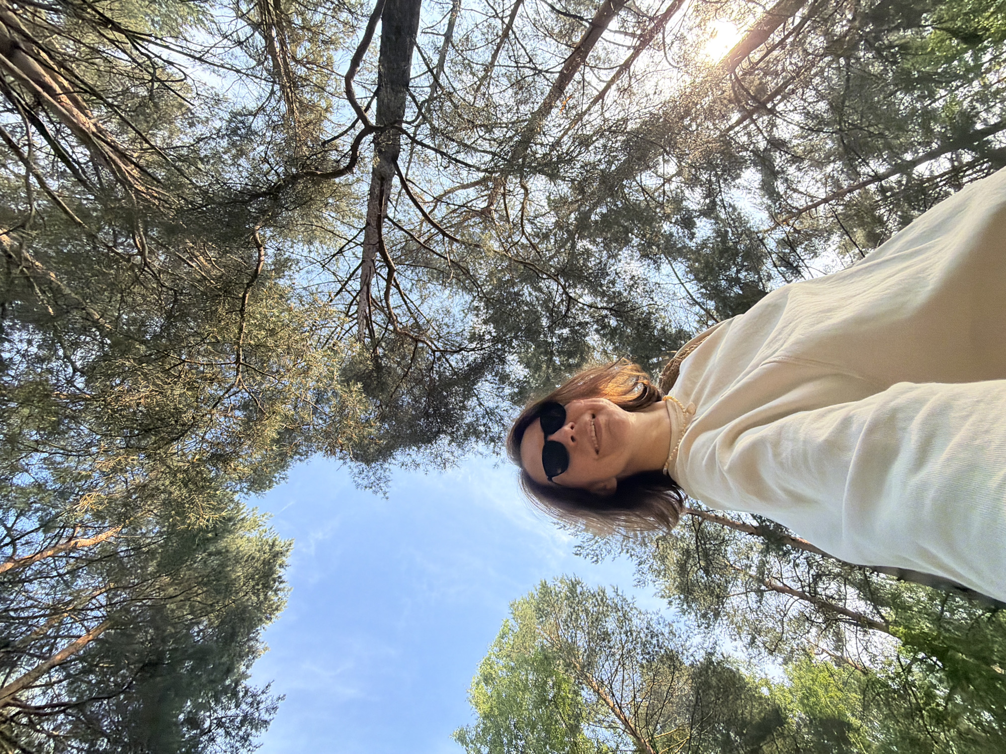 A low-angle, wide shot captures a person wearing a light-colored, loose-fitting top and sunglasses, looking upwards towards the sky amongst tall pine trees. The trees form a dense canopy against a clear blue sky with some wispy clouds. Sunlight filters through the branches, creating bright spots and shadows. The camera angle is from below, giving the impression of looking up from the ground, with the person's face partially obscured by the trees. The scene appears to be in an outdoor, wooded area.