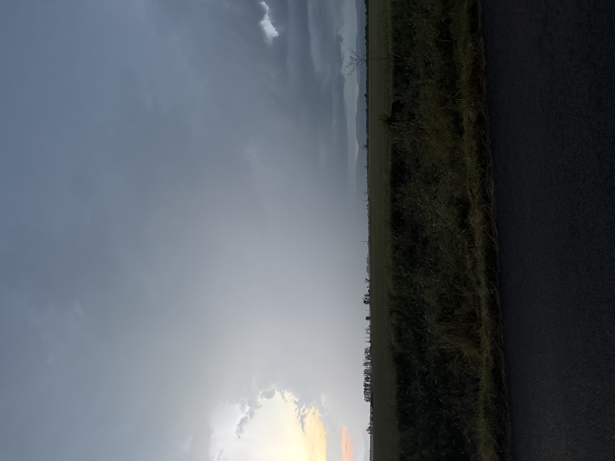 The image captures a wide, rural landscape under a dramatic, cloudy sky. The horizon line stretches horizontally across the mid-ground, separating the expansive sky from the land. The sky is largely overcast with varying shades of grey clouds, but a prominent break towards the lower left reveals warm, bright hues of yellow and orange, indicative of either sunrise or sunset.
In the immediate foreground, on the right side, is a dark, asphalt-like surface, resembling a road or path. This is bordered by a strip of dense, dark green vegetation, likely tall grasses and bushes, creating a natural edge. Beyond this, the land extends into what appears to be a flat field or agricultural area. In the far distance, a faint line of hills or mountains is visible against the horizon, partially obscured by atmospheric haze. A few scattered trees, including one with bare branches, punctuate the landscape.
The scene conveys a sense of tranquility and vastness, characteristic of a rural setting. The lighting suggests early morning or late evening, with the sun low on the horizon, casting a soft yet striking glow through the clouds. No specific human activity or visible text is present. The location context indicates this serene landscape is near Sarnevo, Bulgaria.