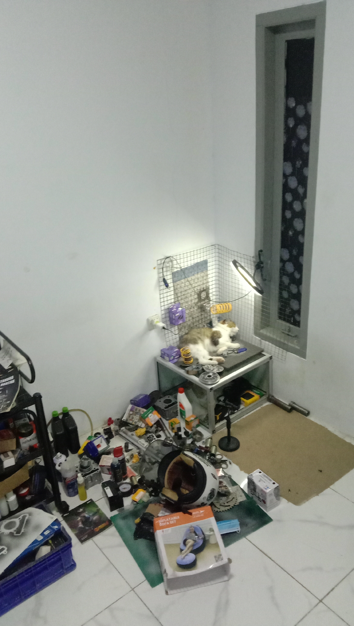 In Karangmangu, Indonesia, an indoor scene depicts a cluttered room, likely a workshop or storage area. A cat is asleep on a metal shelf unit. Various objects are scattered on the floor and shelves, including motorcycle parts, bottles, tools, a helmet, and boxes. A tall, narrow window with a decorative pattern is visible on the right wall. A ring light is positioned above the shelf, illuminating the cat. The floor is tiled.