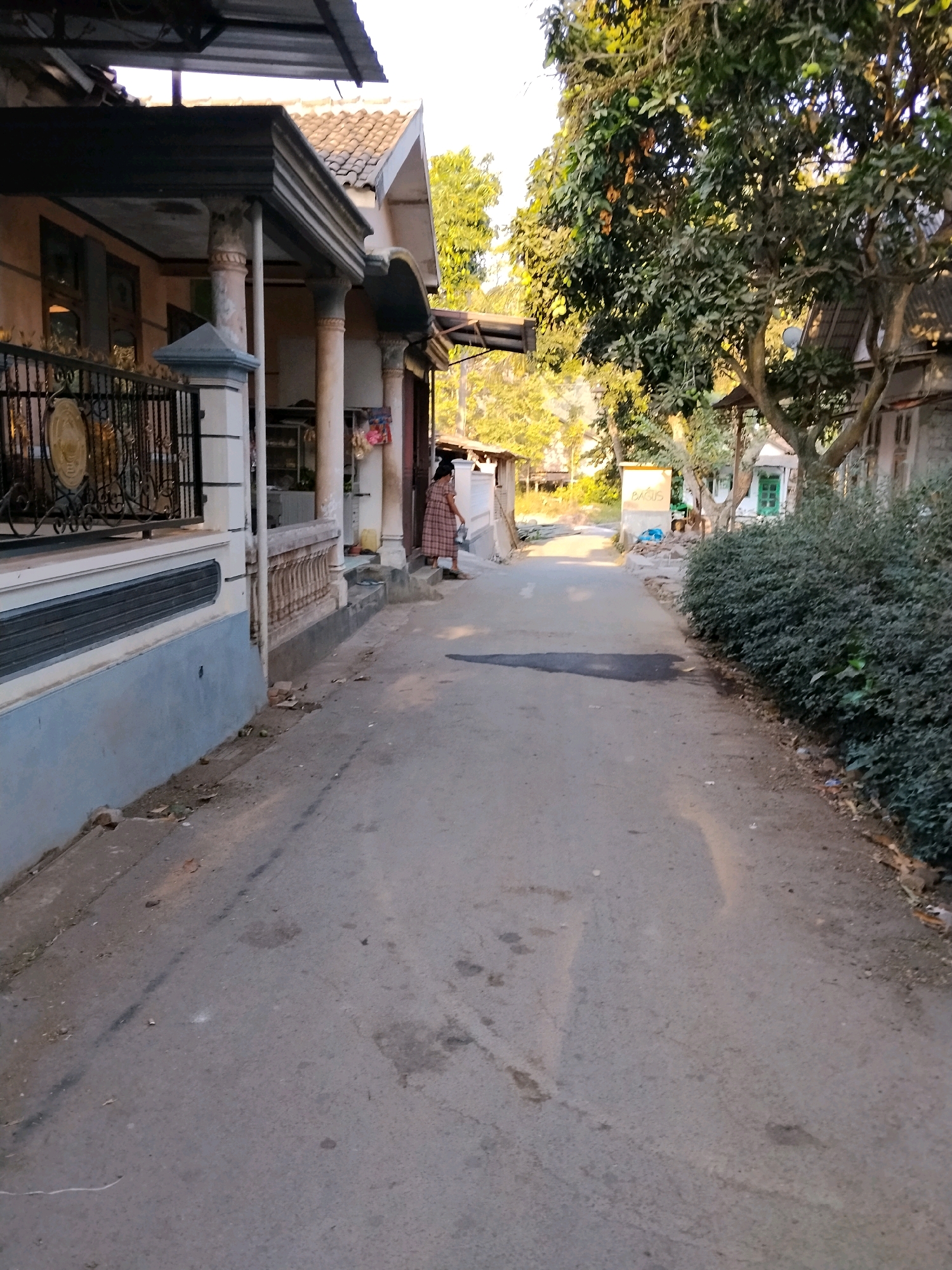 The image depicts a paved residential street in Tlogosari, Indonesia, under natural sunlight. On the left side of the street, a house with a covered porch supported by columns is visible, featuring a black metal fence. A woman wearing a checkered dress stands on the porch, holding a bag. The street itself shows signs of wear, with some dark patches and debris scattered along its edges. A large tree with green foliage stands on the right side, casting a shadow on the street. Further down the street, more houses and dense vegetation are present. The overall scene conveys a typical suburban environment in Indonesia.