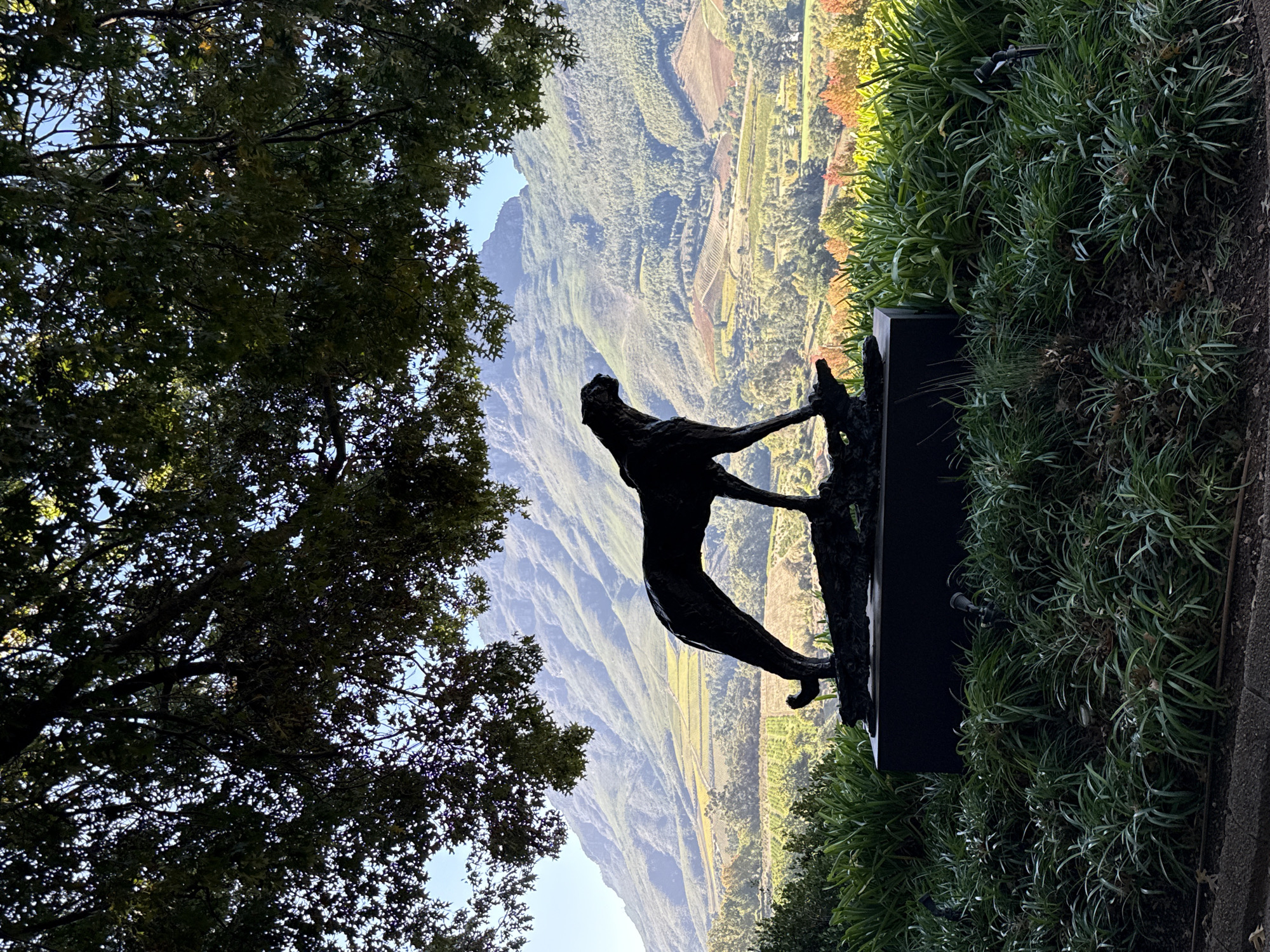 A bronze sculpture of a person is located outdoors in Stellenbosch Nu, South Africa, with a vista of a valley and mountains in the background. The sculpture is mounted on a dark-colored base, surrounded by greenery that grows at the edge of a walkway or elevated ground. A tree frames the left side of the image, its leaves partially obscuring the view of the landscape. The terrain slopes down into the valley, where cultivated fields and wooded areas are visible. The mountains appear layered in the distance under a blue sky.