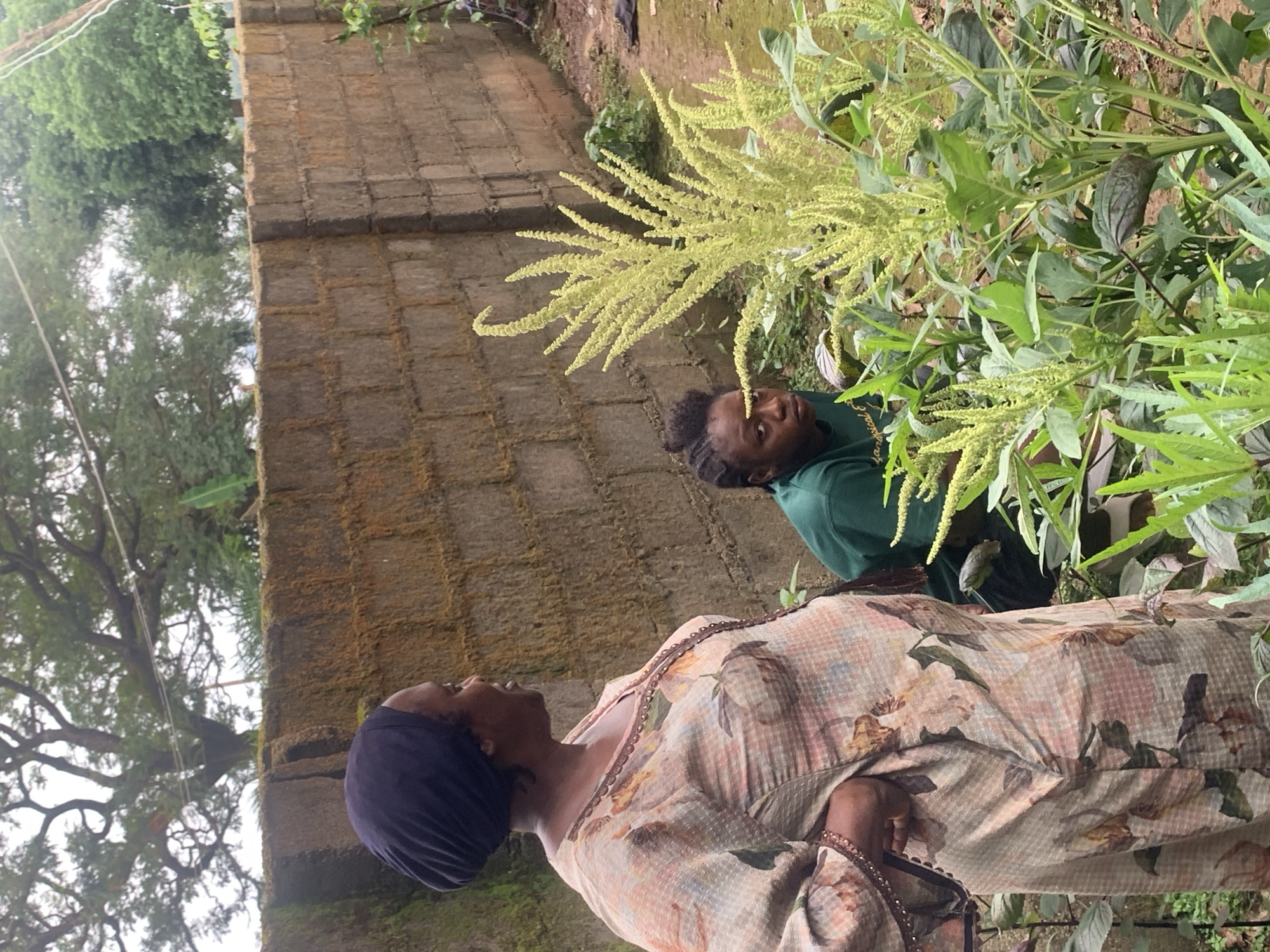 In Agban, Nigeria, two women are pictured in a yard. The woman on the left is wearing a patterned dress and a dark headscarf, and she is looking to the right. The woman on the right is wearing a green t-shirt, and she is looking downwards. They are both standing near a large plant with many green flowers. Behind them, a brick wall is visible, and trees can be seen in the background.