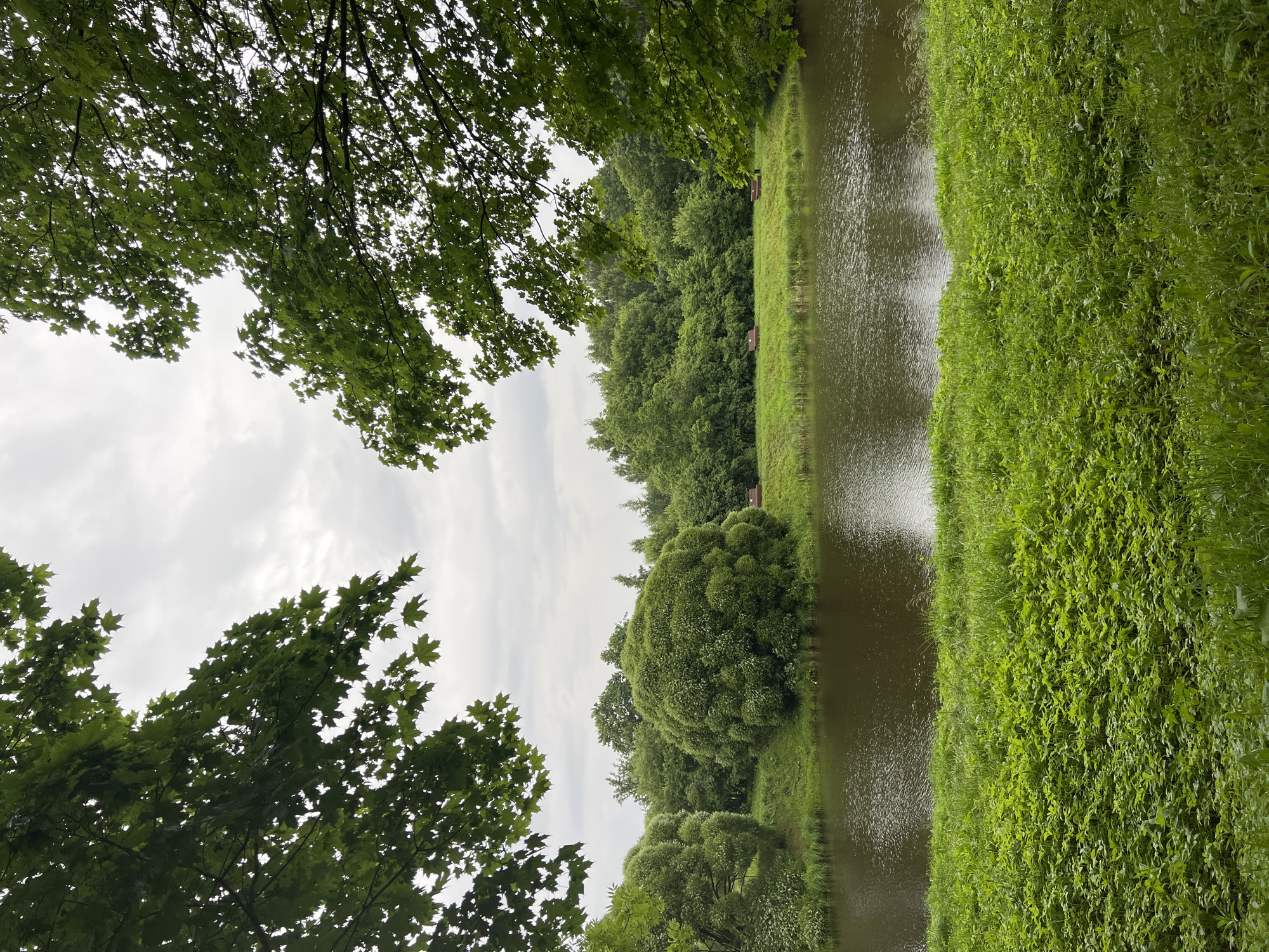 The image depicts a tranquil scene at a park in Pushkin, Russia, likely Tsarskoye Selo. In the foreground, a lush green lawn is covered in dense vegetation, transitioning to a calm body of water. The water's surface is slightly rippled, reflecting the overcast sky. Beyond the water, a verdant landscape unfolds, characterized by trees and shrubs. Among the foliage, two small wooden benches are visible on a grassy incline, suggesting a place for visitors to rest and enjoy the scenery. The overall atmosphere is serene and natural, indicative of a well-maintained park.