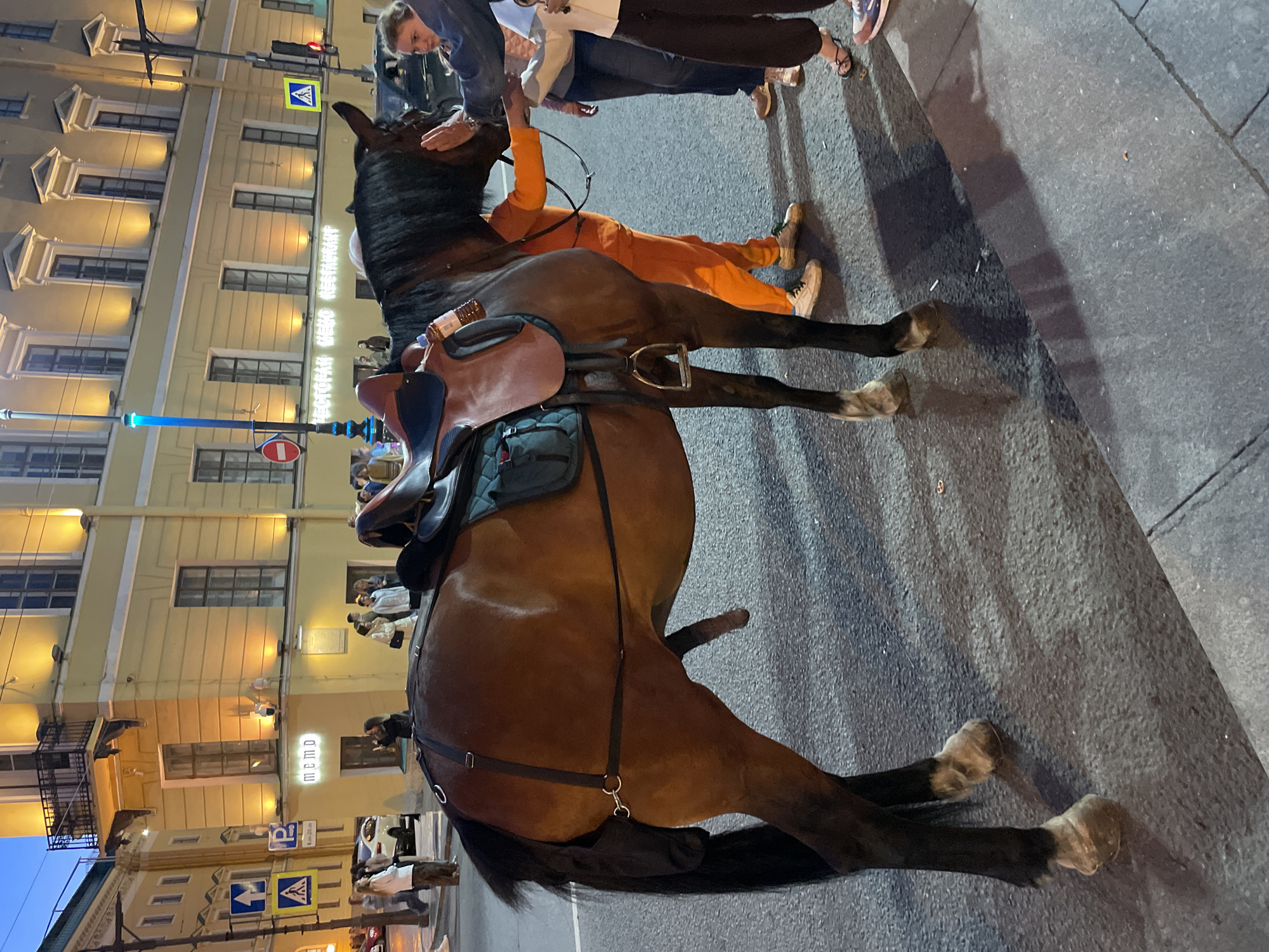 An outdoor, medium shot captures a brown horse standing on a paved city street at dusk or night. The horse is equipped with a brown leather saddle and is facing left, with its tail down. Its hindquarters are visible, including its penis. People are in the background, some interacting with the horse. To the left, a building with illuminated windows and architectural details is visible, along with street signs and a lamppost. The ground is asphalt with some debris. The overall scene suggests a street-level view of a public area in a city.