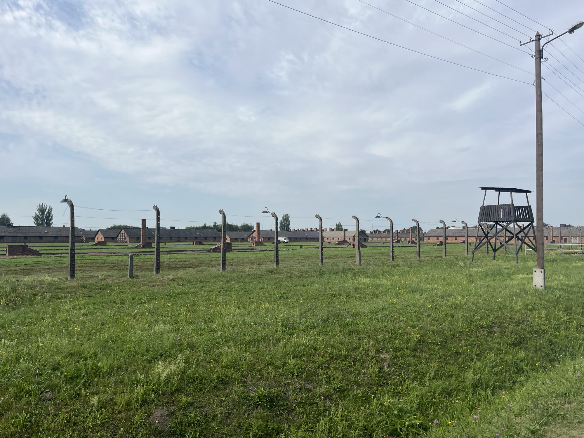 The image shows a wide view of a grassy field in front of a series of brick buildings with red roofs, characteristic of Auschwitz-Birkenau, located in Brzezinka, Poland. A fence with numerous posts and wires runs horizontally across the mid-ground. Several lampposts with curved arms are attached to the fence posts. To the right, a wooden watchtower stands tall, supported by a utility pole with electrical wires extending upwards. The sky above is overcast with light clouds. The overall scene is a stark and somber depiction of the former concentration camp grounds.