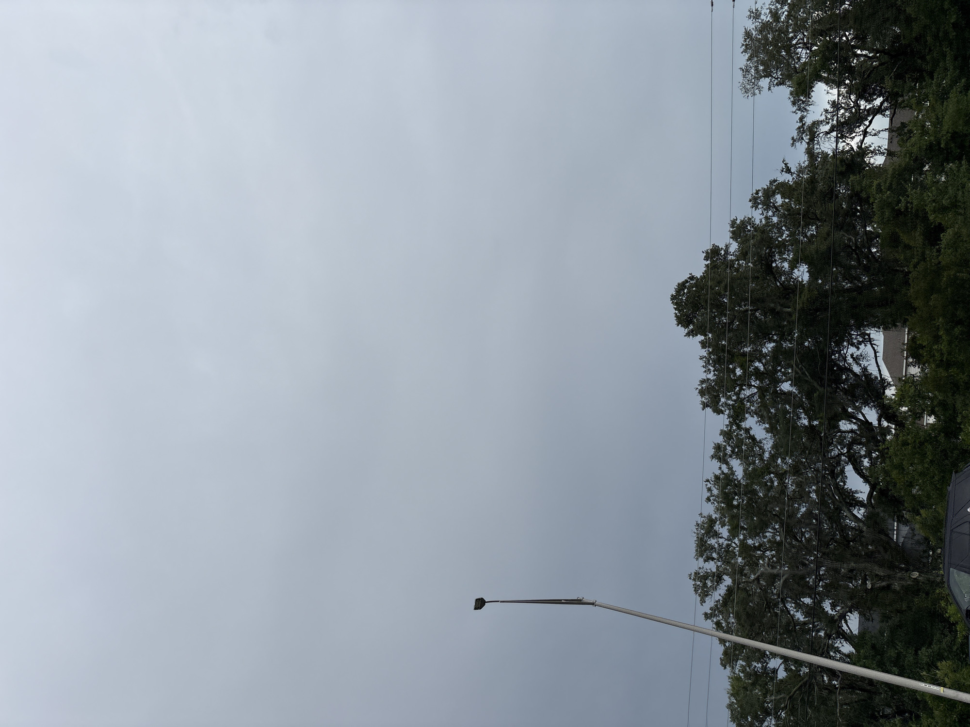 An overcast sky looms over a residential area. A tall, slender street light stands in the foreground, angled slightly to the left. Beneath the sky, a line of lush, dark green trees stretches across the frame, partially obscuring houses and their roofs. A black vehicle is visible in the lower left corner of the image, partially obscured by trees and the base of the street light. There are power lines running horizontally above the trees. The scene suggests a humid, possibly stormy day. The image was taken in Bradenton, United States.