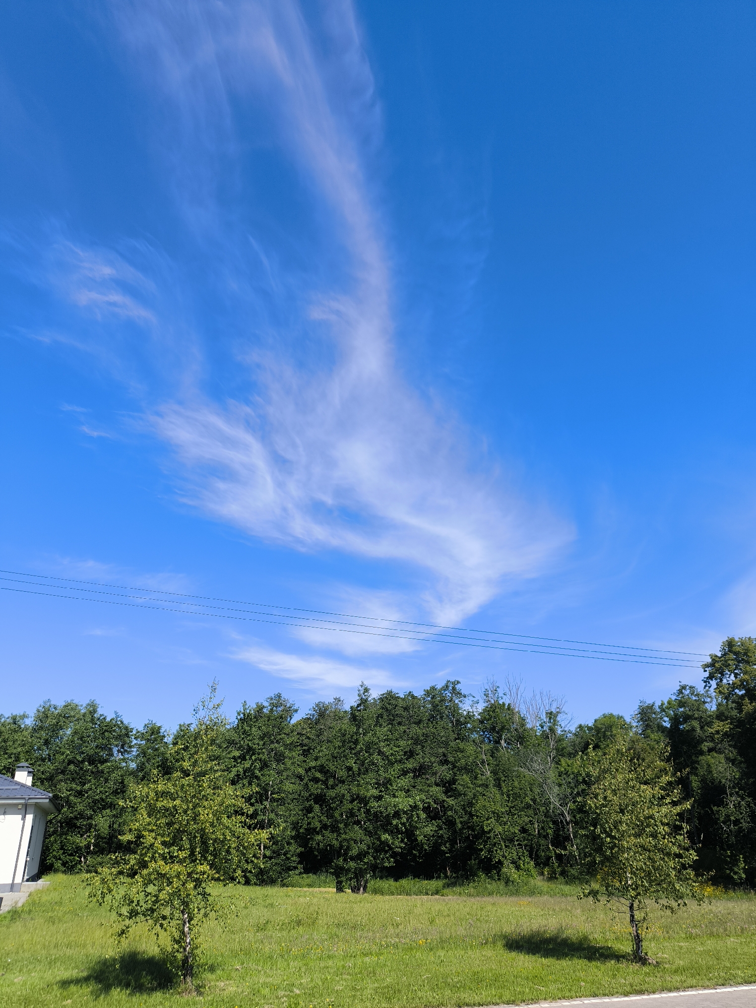 This is a full shot, taken outdoors, of a rural landscape in Laskino, Russia, under a bright blue sky with wispy white clouds. In the foreground, a manicured green lawn stretches towards a dense line of trees that form the background. Two young trees with sparse foliage stand in the middle ground, one to the left and another to the right of center. To the far left of the frame, the corner of a white modern house with a dark roof is visible, bordered by a well-kept lawn. A dark asphalt road with a white stripe runs along the bottom edge of the image. Three thin, parallel black wires, likely power lines, are suspended across the upper portion of the scene, against the blue sky. The overall impression is one of a peaceful, natural setting with hints of human habitation.