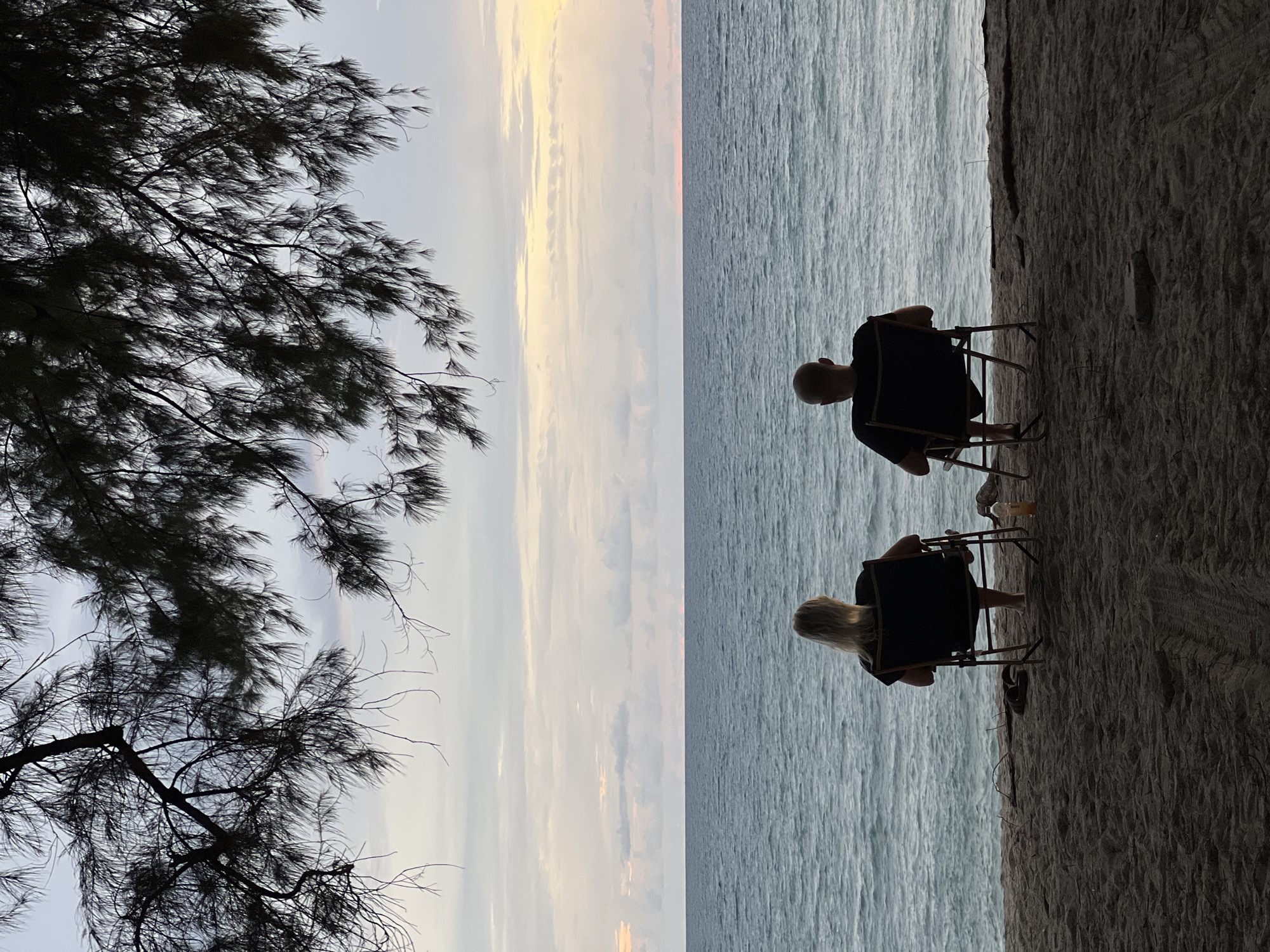 This is a vertical, eye-level, full shot of two people sitting in chairs on a beach looking at the ocean. The sky is overcast with hues of pink and yellow visible near the horizon. The ocean is calm with small waves. In the foreground, tree branches with pine needles hang from the top of the frame. The people are silhouetted and facing away from the camera. The person on the left has blonde hair and is wearing a black shirt. The person on the right is bald and is wearing a black t-shirt. Both are sitting in folding chairs. A plastic bottle is on the sand to the left of the person on the right. The sand is dark brown and textured, with tire tracks visible.