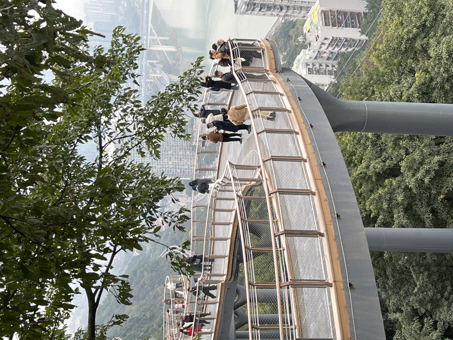 A curved pedestrian bridge attracts numerous visitors. The structure, constructed with a gray metal frame and wire mesh panels, offers elevated views. People stroll along the bridge, some pausing to observe the scenery. The background reveals a cityscape, a wide river, and lush greenery, suggesting a mountainous region. Trees flank the bridge, adding to the natural ambiance.
