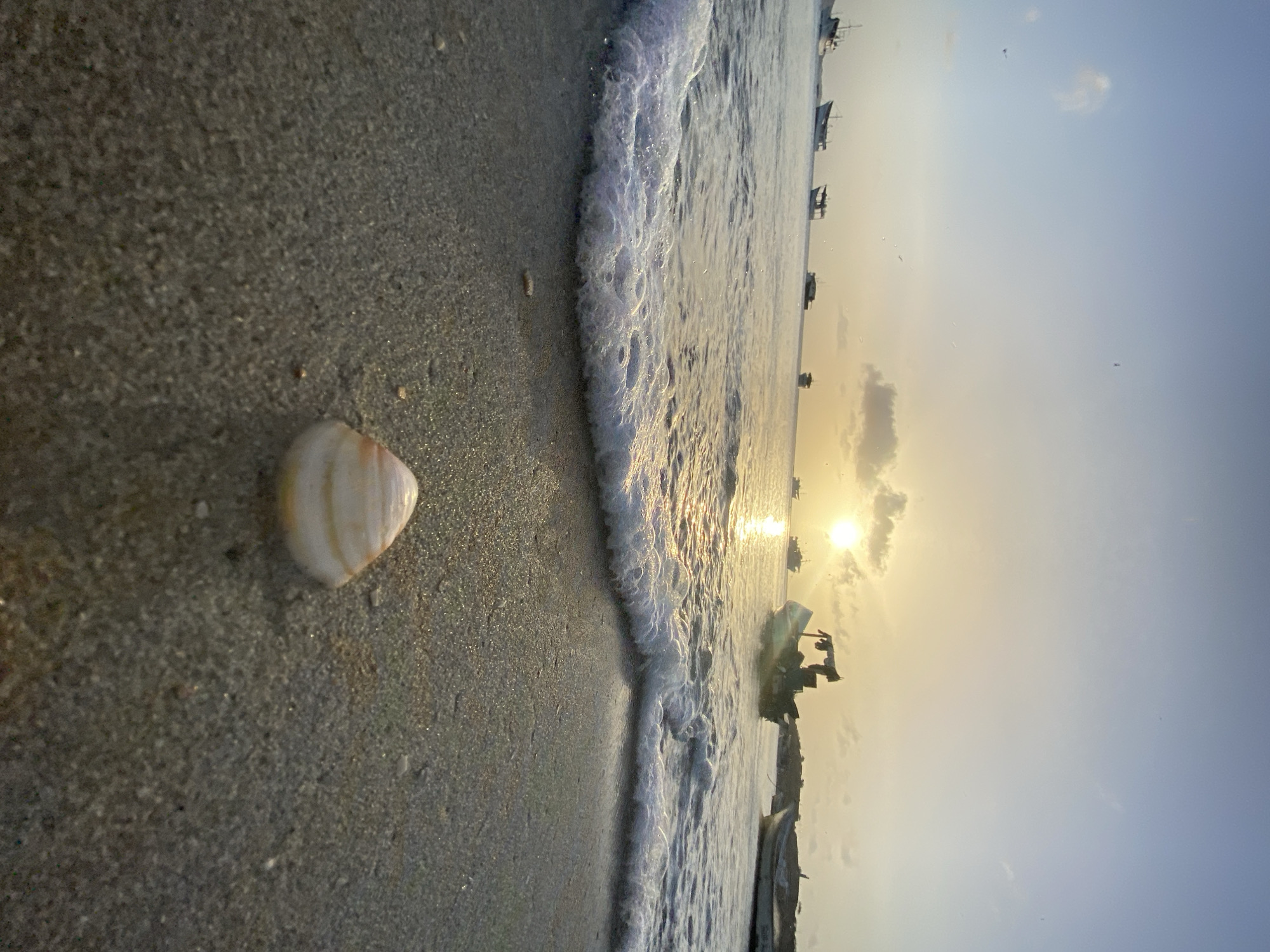 The image depicts a beach scene at Juan Griego, Venezuela. A seashell rests on the sandy shore near the water's edge. Gentle waves are lapping the beach. In the distance, silhouettes of boats dot the horizon, silhouetted by a bright sun. The sky is partially cloudy, with colors indicating either sunrise or sunset.