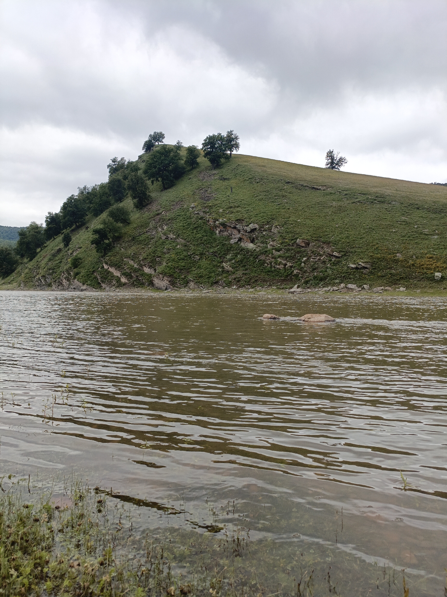This media file captures a serene, overcast day at a body of water, likely a lake or reservoir, near Gabdyukovo, Russia. The foreground is dominated by the rippling surface of the water, with hints of submerged vegetation and the muddy shoreline visible through the clear, shallow areas. Small green shoots of grass and other plants are emerging from the water's edge, adding a touch of life to the scene.
In the middle ground, a few large, smooth rocks break the surface of the water, creating gentle ripples around them. The water itself appears murky, reflecting the muted tones of the sky.
The background features a steep, grassy hillside dotted with trees. The trees are predominantly dark green, with a somewhat sparse canopy, suggesting they are either young or have endured harsh conditions. The hillside is textured with patches of exposed rock and varied shades of green and brown grass, indicating an uneven and natural landscape. The sky is a uniform, heavy gray, characterized by thick, low-lying clouds that obscure any sign of the sun, implying either early morning, late evening, or simply a heavily overcast day.
There are no people or explicit man-made objects visible, contributing to the natural and untouched feel of the setting. The overall mood is tranquil and somewhat somber, evoked by the cloudy weather and the vastness of the natural landscape. The location cues, such as the specific flora and the rolling terrain, are consistent with a rural or wilderness area in Russia. No text is visible in the image.