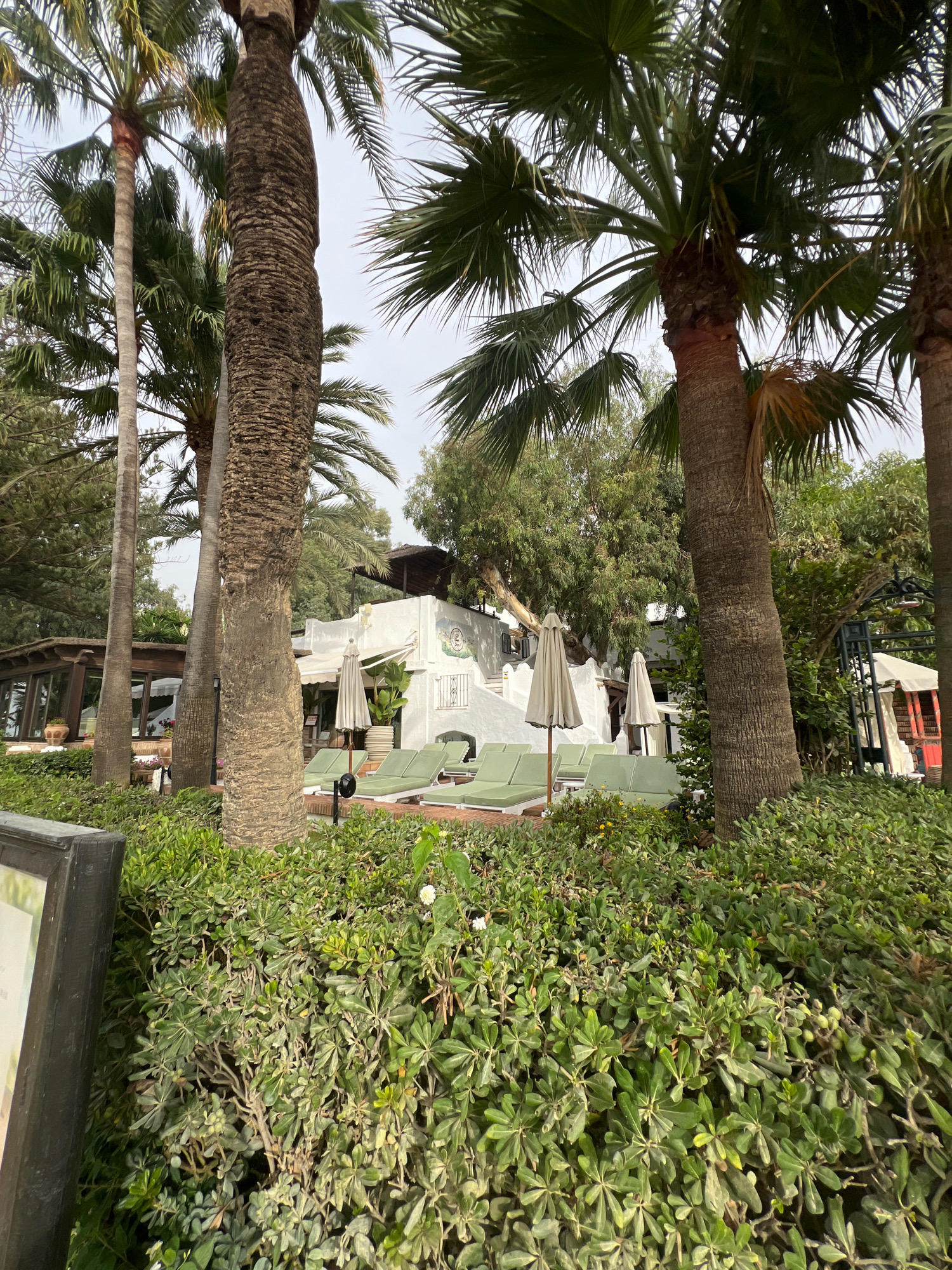 This image captures a serene outdoor scene with a resort-like atmosphere, likely in Marbella, Spain, given its lush vegetation and relaxed ambiance. In the foreground, dense green shrubs create a natural border, partially obscuring a dark-framed sign on the left. Towering palm trees dominate the midground, their textured trunks and fronds suggesting a tropical or subtropical climate.
Behind the foliage and trees, a white building with Mediterranean architectural elements is visible. It features an arched entrance and balconies, with what appears to be a covered seating area or restaurant to the left. Several closed, cream-colored umbrellas are strategically placed among rows of green sun loungers, indicating a poolside or patio area designed for relaxation. The sun loungers are neatly arranged on what looks like a paved surface.
The background reveals more greenery and trees, creating a sense of depth and natural beauty. The sky is overcast, suggesting a potentially mild or cloudy day, which could explain the presence of closed umbrellas. There are no people visible in the frame, emphasizing the tranquility and emptiness of the space. The overall impression is one of a well-maintained resort or private property designed for leisure and enjoyment.