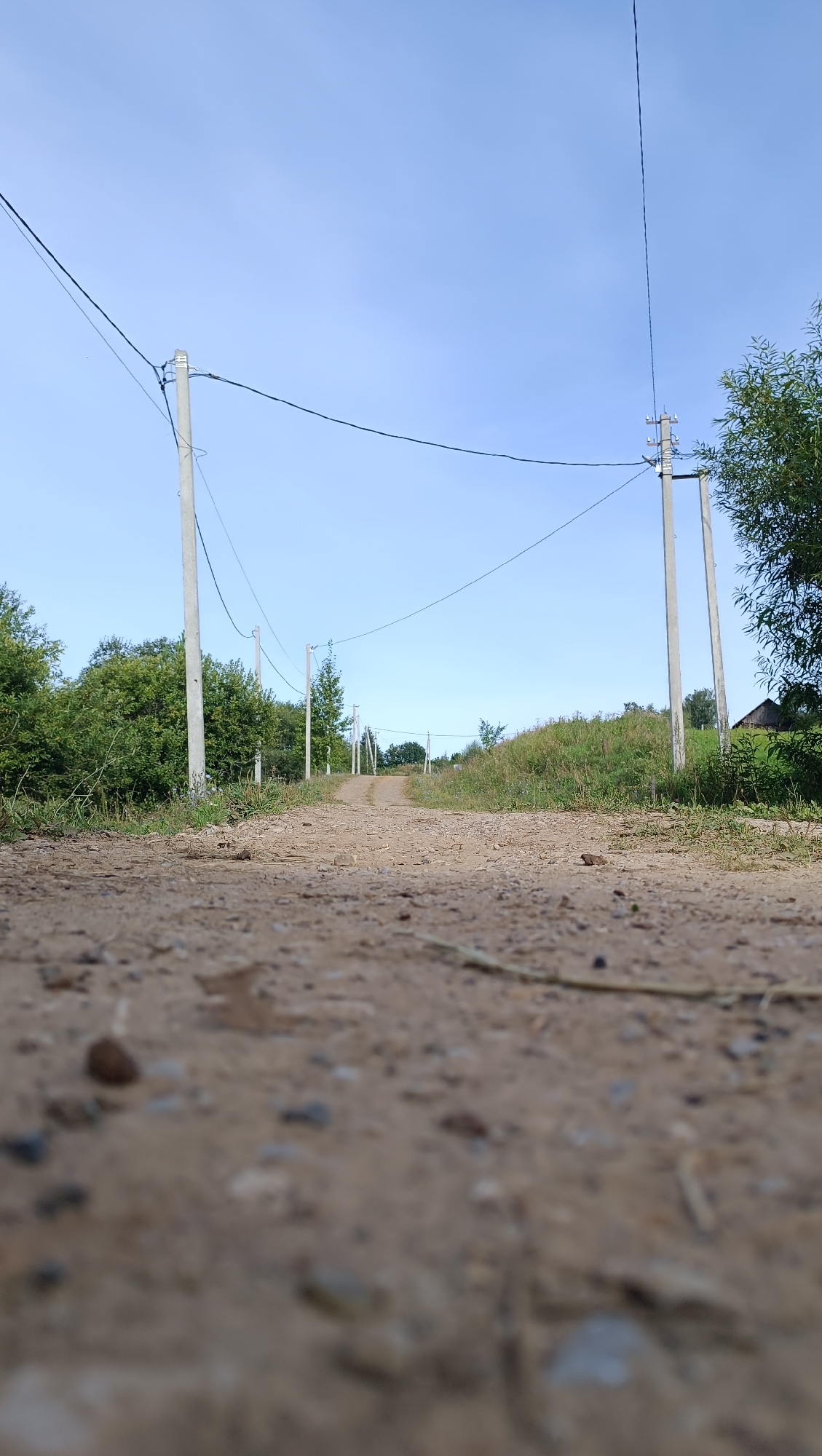 The image depicts a dirt road lined with utility poles and wires, curving uphill into the distance under a clear blue sky. Dense green foliage flanks both sides of the road. A small, dark structure resembling a shed or small house with a wooden roof is visible on the right side of the image, partially obscured by trees. The foreground shows a close-up view of the dusty, gravelly road surface with scattered small stones and dried plant matter. The perspective is low to the ground, emphasizing the texture of the road and the expanse of the sky. There are no people or animals visible in the scene. The environment suggests a rural or semi-rural setting, possibly on the outskirts of a settlement like Karsha, Russia, characterized by its natural landscape and basic infrastructure.
