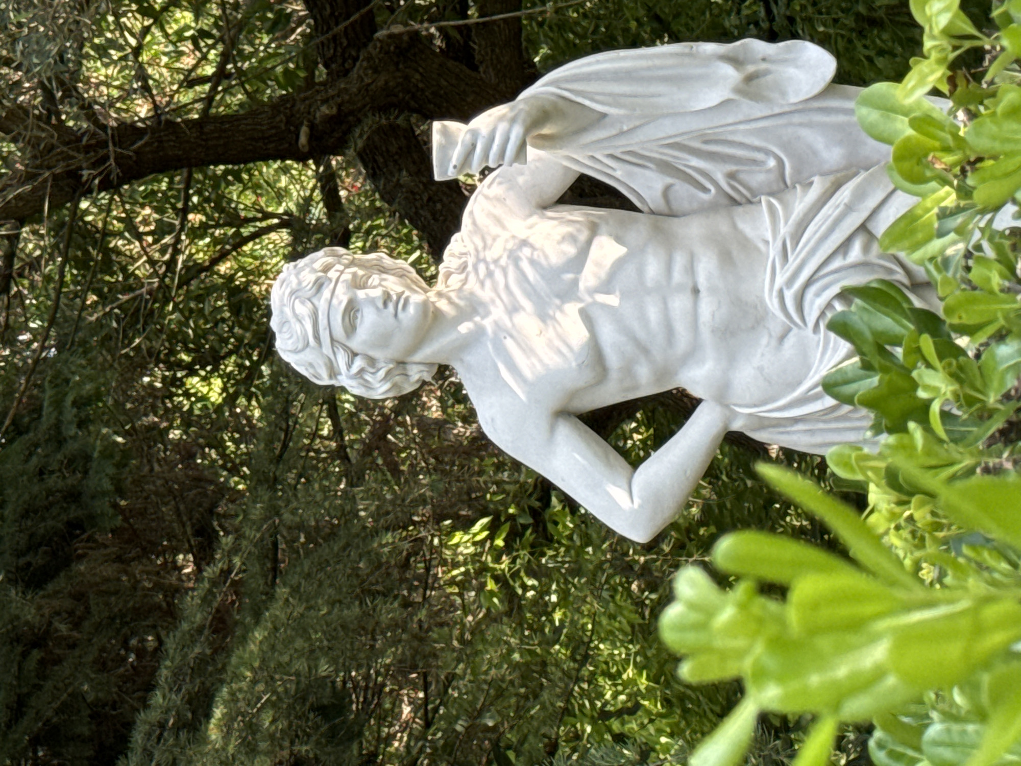 The image features a white marble statue of a partially draped male figure, possibly a mythological or historical personage, positioned outdoors amidst lush greenery. The statue is rendered in a classical style, with intricate details in the musculature and drapery. The figure appears to be in motion or a dynamic pose, with one arm raised and holding an object, while a cloth is draped over the body and extends upwards and over the head, partially obscuring the face. The statue is illuminated by natural sunlight, casting shadows that highlight the sculpted forms.
The setting is a garden or park, characterized by dense foliage, including trees with dark bark and branches, and vibrant green leaves and bushes in the foreground. The background is a mixture of sunlight filtering through leaves and darker, shaded areas, suggesting a pleasant, possibly warm, time of day. The overall mood is serene and artistic, with the statue standing as a central point of interest within the natural environment. There is no visible text in the image. The location context provided is Sochi, Russia, which aligns with the outdoor, potentially Mediterranean-influenced vegetation and the presence of classical-style statuary often found in such settings.