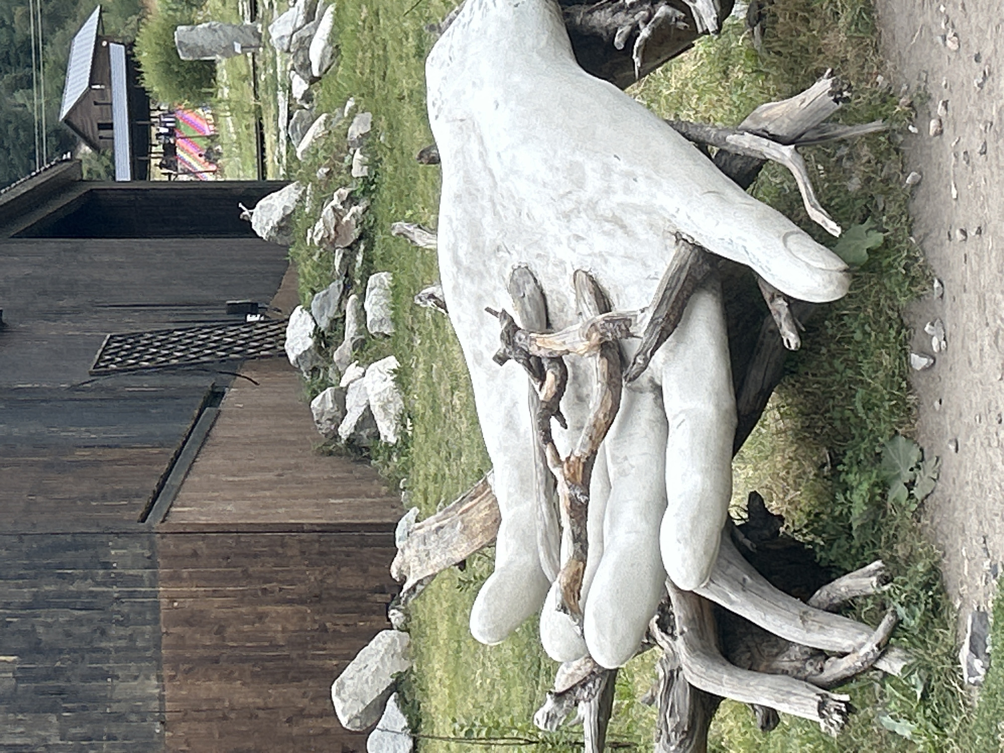 A large, pale, sculpted hand made of wood rests on a bed of weathered driftwood and branches. The sculpture is positioned in front of a dark wooden building with vertical planks. In the background, a rustic wooden structure with a gray roof is visible, and beyond that, a distant building and lush green trees. Scattered rocks and grass surround the area, suggesting an outdoor, possibly park-like setting. There are no people or animals clearly visible in the immediate foreground. The overall impression is one of an artistic installation in a natural or semi-natural environment. This image does not depict the city of Almaty, Kazakhstan.