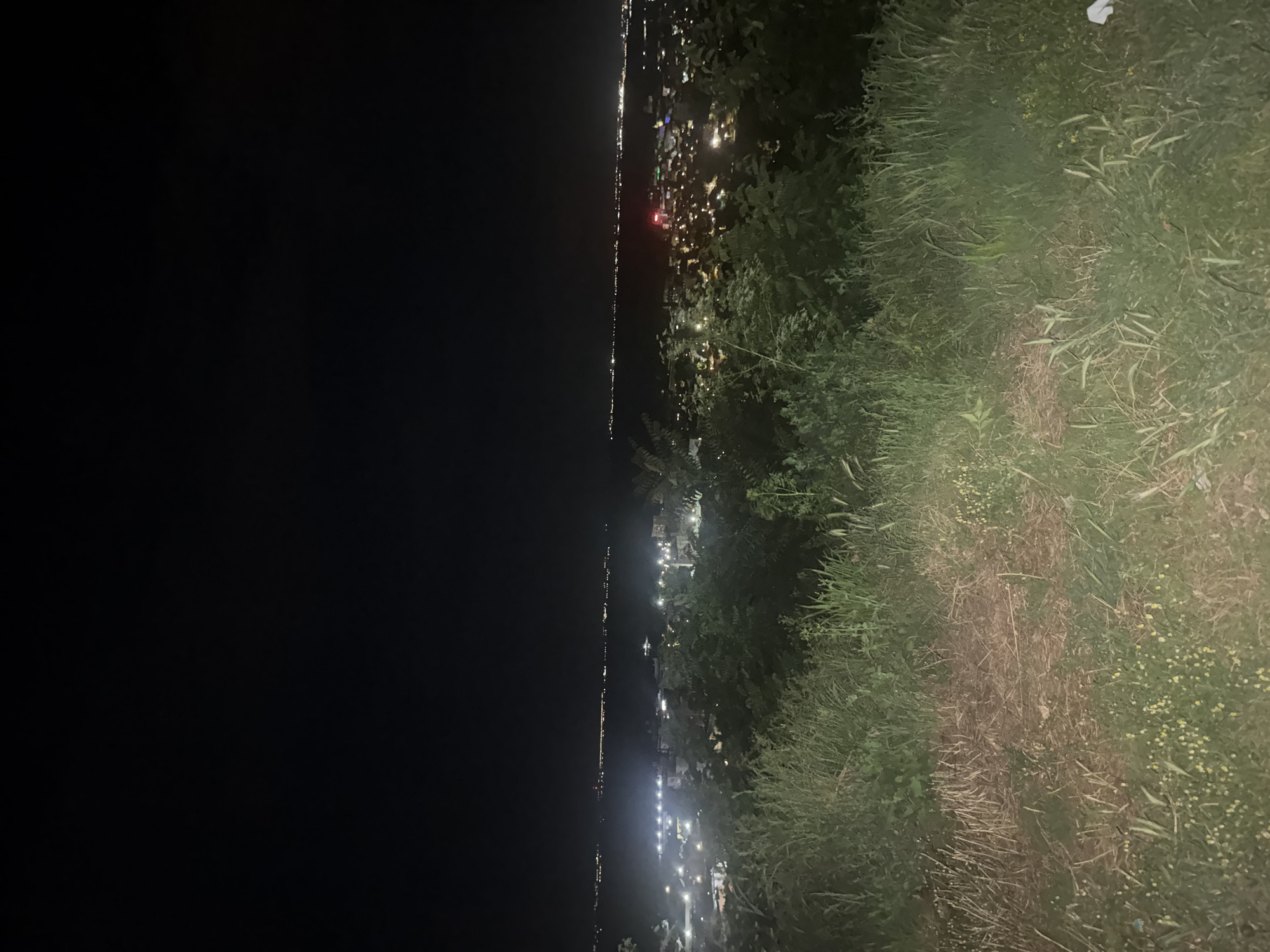 The image is a nighttime aerial view of Silistra, Bulgaria. The foreground is dominated by tall, dry grass and some greenery, suggesting a natural embankment or hillside. In the mid-ground and background, the city lights of Silistra are visible, spread out along the coast of the Danube River. The lights create a luminous haze against the dark night sky, highlighting the urban landscape. The river itself is not clearly discernible, but its presence is implied by the linear arrangement of lights along the horizon. The overall impression is one of a quiet, illuminated city at night, viewed from a natural vantage point overlooking the urban sprawl and the river.