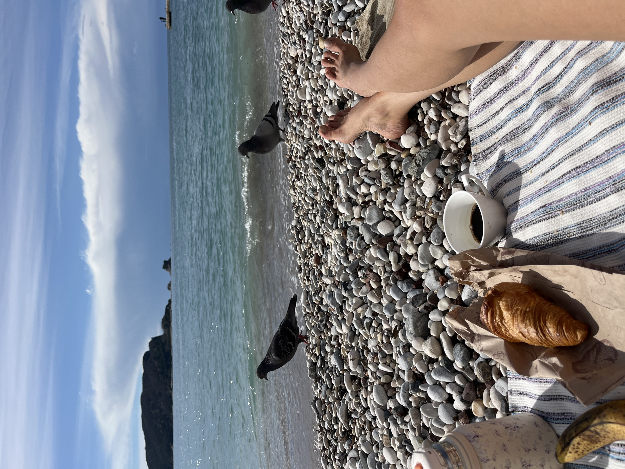 The scene depicts a person's point-of-view from a pebble beach in Budva, Montenegro, specifically facing Sveti Nikola Island and the open Adriatic Sea. In the immediate foreground, the bare legs and feet of an individual are visible, resting on a striped woven blanket or towel with white, blue, and purple hues. Positioned on the blanket near the feet are breakfast items: a white ceramic cup containing black coffee, a golden-brown croissant wrapped in brown paper, a half-eaten banana with a partially darkened peel, and a white thermos or bottle adorned with a floral pattern and an orange cap.
The midground features a wide expanse of smooth, rounded pebbles ranging in color from white and gray to brown, extending to the water's edge. Three rock pigeons are present on the pebbles; one stands prominently in the mid-left, facing right, near where small waves break. Another pigeon is to its right, closer to the water, also facing right, and a third is partially visible on the far right by the water, facing left. The water is a clear blue-green with gentle ripples and small waves approaching the shore.
In the background, the calm Adriatic Sea stretches towards the horizon. A large, dark, forested island, identified as Sveti Nikola Island, is prominently visible on the left, accompanied by smaller rocky islets to its right. Further to the right in the distance, a long pier or jetty extends into the sea, with two small figures discernible on its end. The sky overhead is bright blue with scattered white, cumulus-like clouds, including a broad, lighter cloud formation above the horizon on the right.