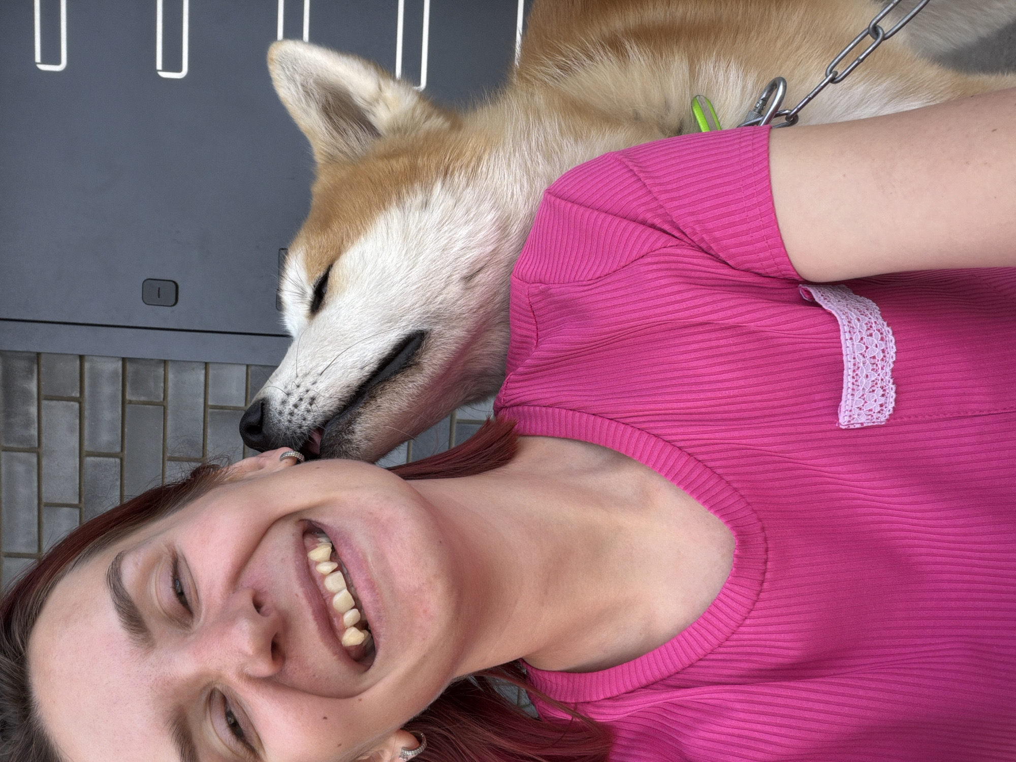 A woman with reddish-brown hair smiles broadly at the camera. She wears a bright pink, ribbed shirt with a small square of white lace near the shoulder. A Shiba Inu dog rests its head on her head, near her left ear, with the dog's nose and mouth near her face. The dog has a chain leash attached to its collar, with a green tag also visible. The background features a grey surface with vertical white bars and a grey tiled surface. The location is Chaikovsky, Russia.