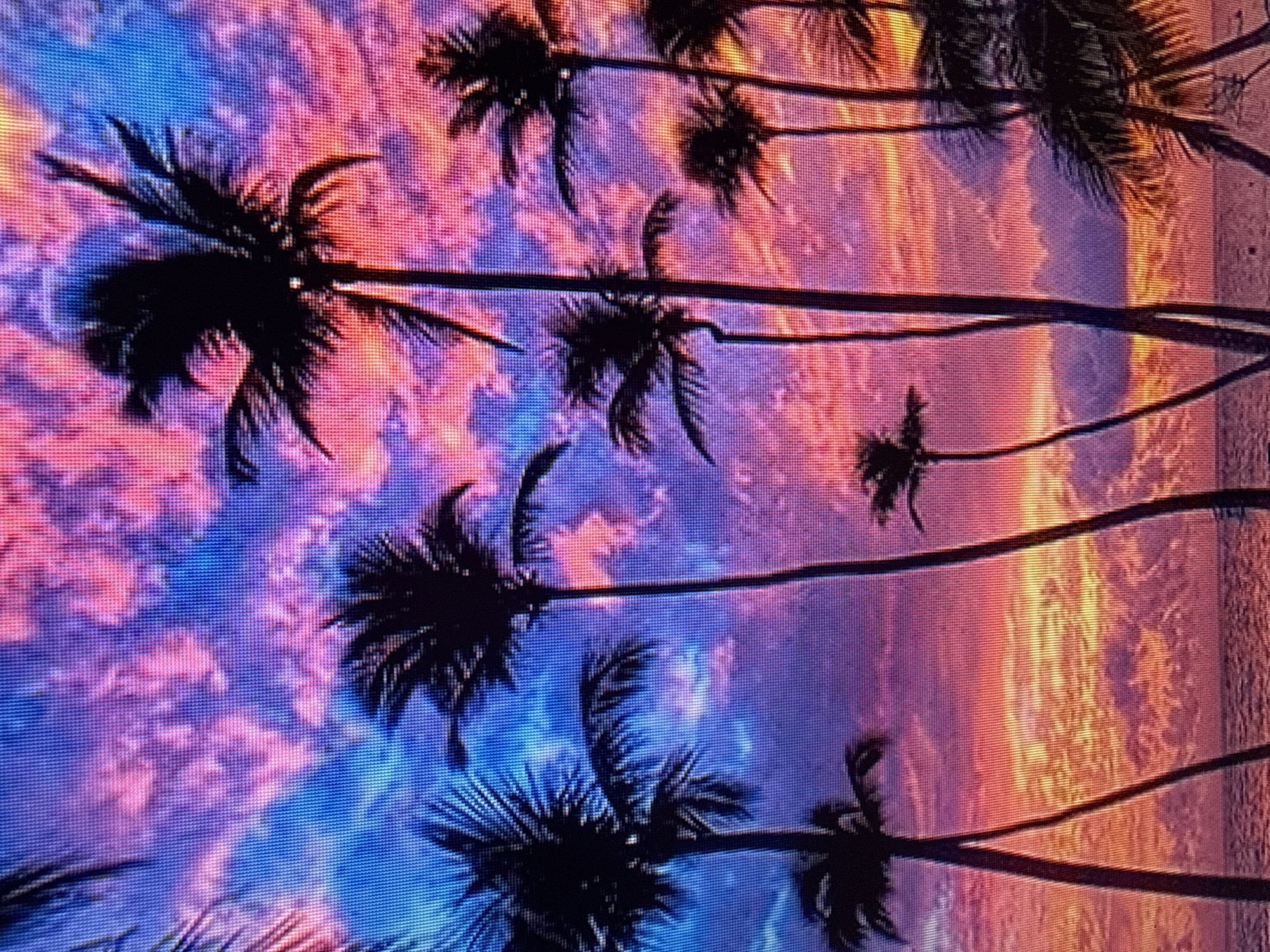 A photograph captures a vibrant sunset over a body of water, silhouetting numerous palm trees against a sky ablaze with hues of pink, purple, and blue. The clouds are illuminated by the setting sun, creating a dramatic and colorful display. The water appears calm, reflecting the intense colors of the sky. The foreground is dominated by the dark silhouettes of palm trees, some tall and slender, others shorter and fuller, with their fronds spread wide. The image is pixelated, suggesting it might be a digital photograph displayed on a screen. The scene evokes a tropical or subtropical environment. The location is not Szczecin, Poland.