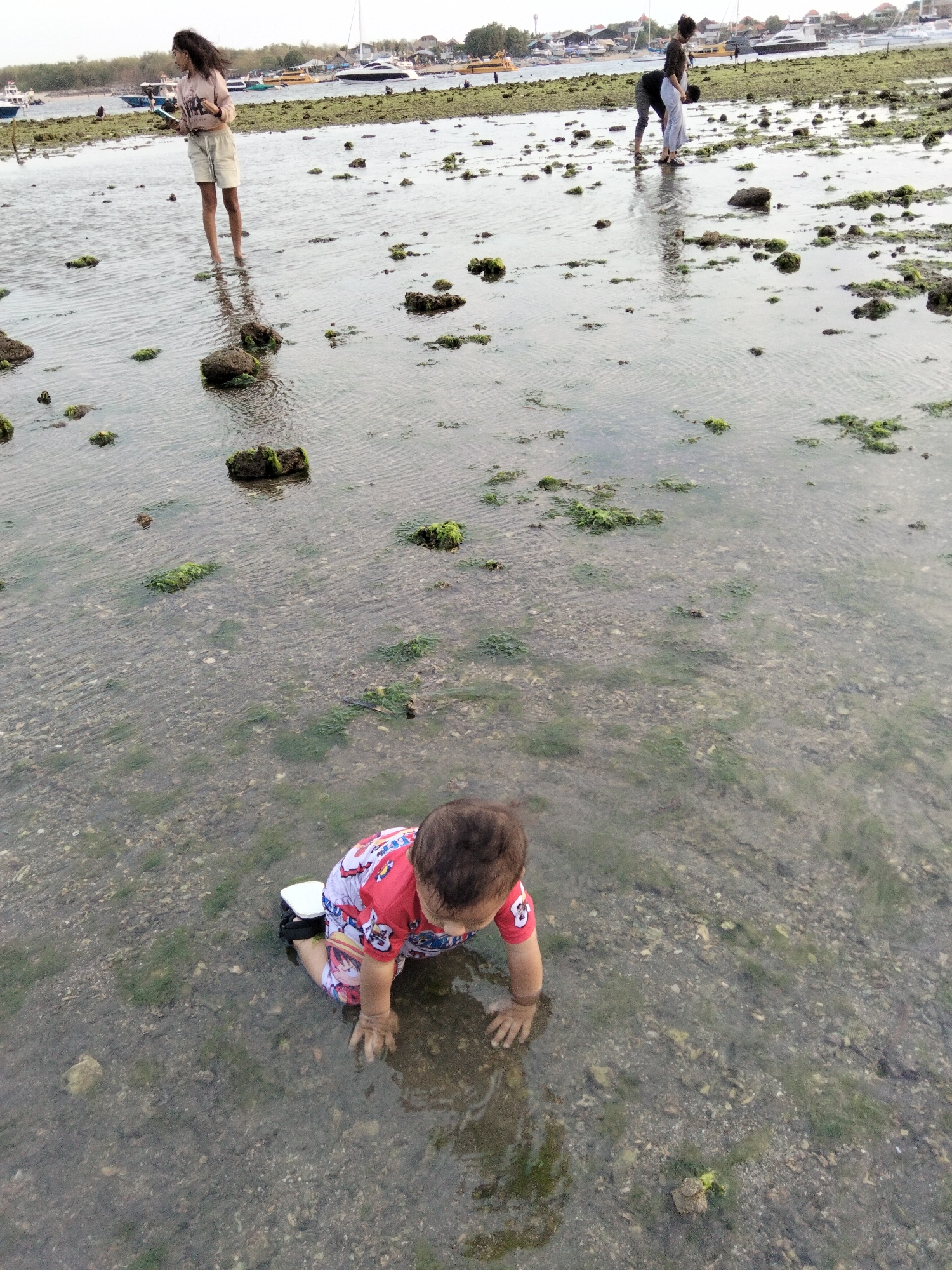 An overhead shot captures a young child crawling on a wet, rocky shoreline, likely during low tide. The child is wearing a red and white outfit with cartoon characters. The water is shallow and clear, revealing the sandy and rocky bottom with patches of green algae. In the background, two adults are visible wading in the water, one holding a white towel. Further in the distance, a coastline is lined with buildings and vegetation, with several boats and yachts anchored offshore. The scene suggests a casual outing at a coastal location in an Indonesian city.