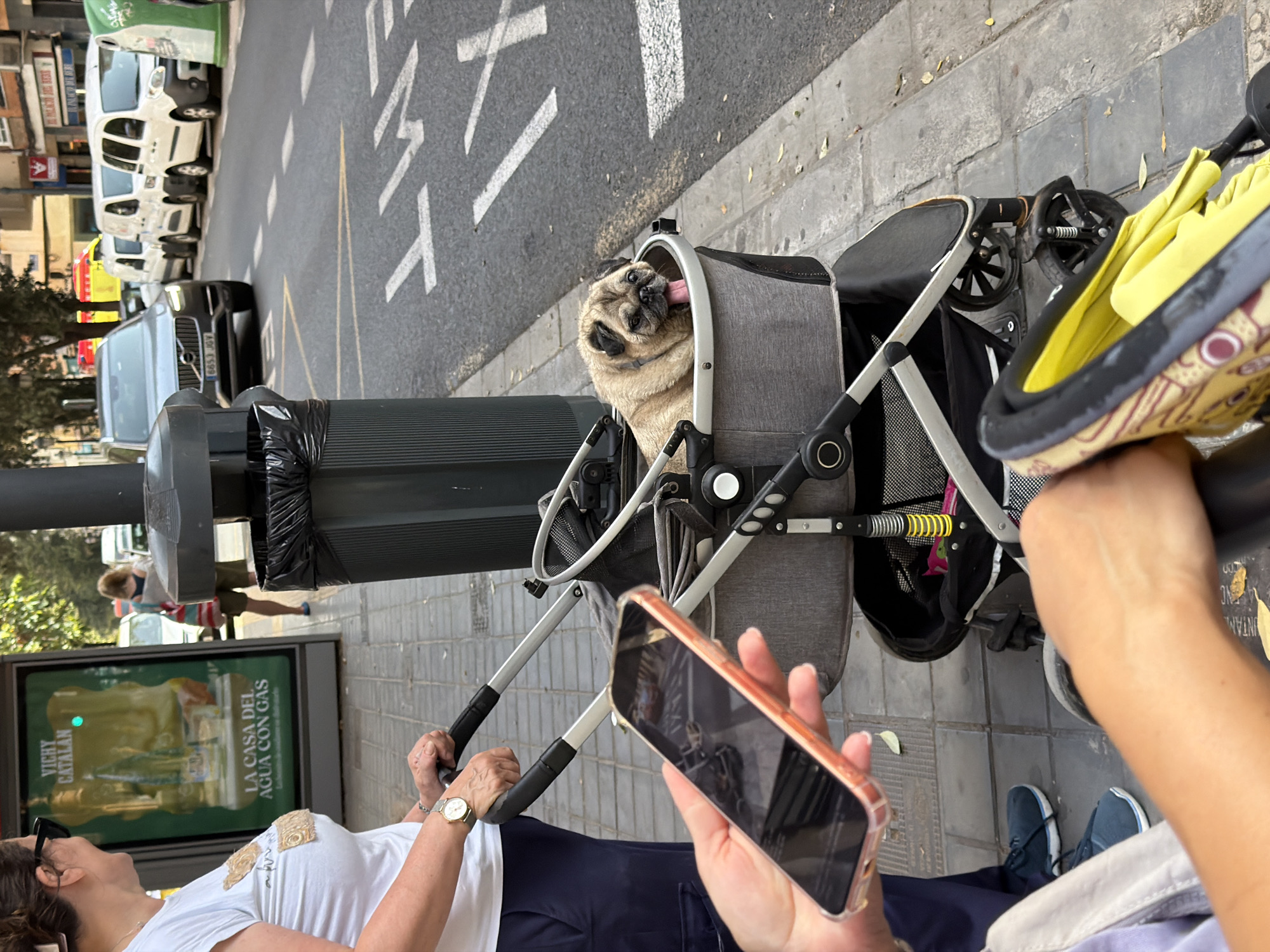 In an outdoor urban setting, a woman stands near a stroller, holding a smartphone. The stroller contains a pug dog with its tongue out. A trash receptacle is visible on the sidewalk. In the background, vehicles are parked and moving on a street, and buildings line the street. The scene suggests a sunny day.