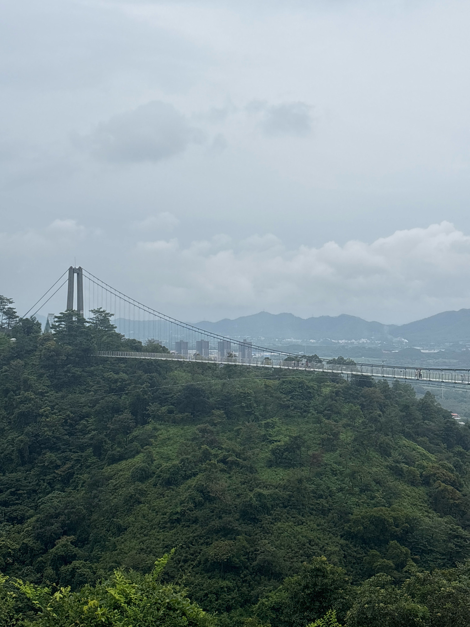 The image captures a suspension bridge spanning across a lush, verdant mountain range. The bridge features two imposing concrete towers from which cables extend to support the bridge deck. The deck itself is lined with railings and appears to have a pedestrian walkway. Several individuals can be seen walking on the bridge, their figures small against the vast landscape.
In the distance, a cityscape with numerous buildings is visible, nestled among rolling hills. The sky is overcast with diffused light, casting a soft, muted tone over the entire scene. The foreground is dominated by dense, green foliage, indicating a natural, possibly forested environment. The bridge is a prominent man-made structure contrasting with the organic shapes of the mountains and trees. The overall impression is one of a scenic overlook, possibly a tourist attraction within the Foshan, China region, offering panoramic views of both nature and urban development.