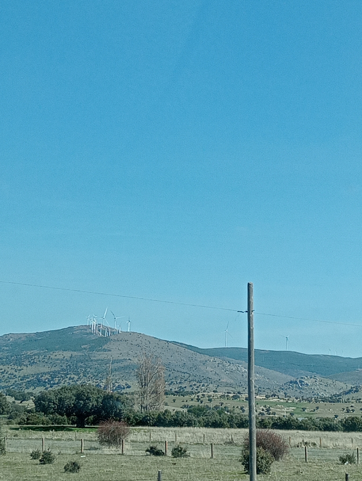 The image presents a rural landscape in Urraca Miguel, Spain, under a clear, bright blue sky. A prominent, vegetated hill in the mid-ground is topped with a cluster of approximately ten white wind turbines. Several additional wind turbines are sparsely distributed across distant, lower hills to the right. The foreground consists of fenced fields showing a mix of green and dry grasses, various shrubs, and scattered trees, some displaying green foliage and others appearing largely bare. A weathered wooden utility pole with a single horizontal overhead wire is positioned vertically on the right side of the frame. No individuals, actions, or interactions are visible.