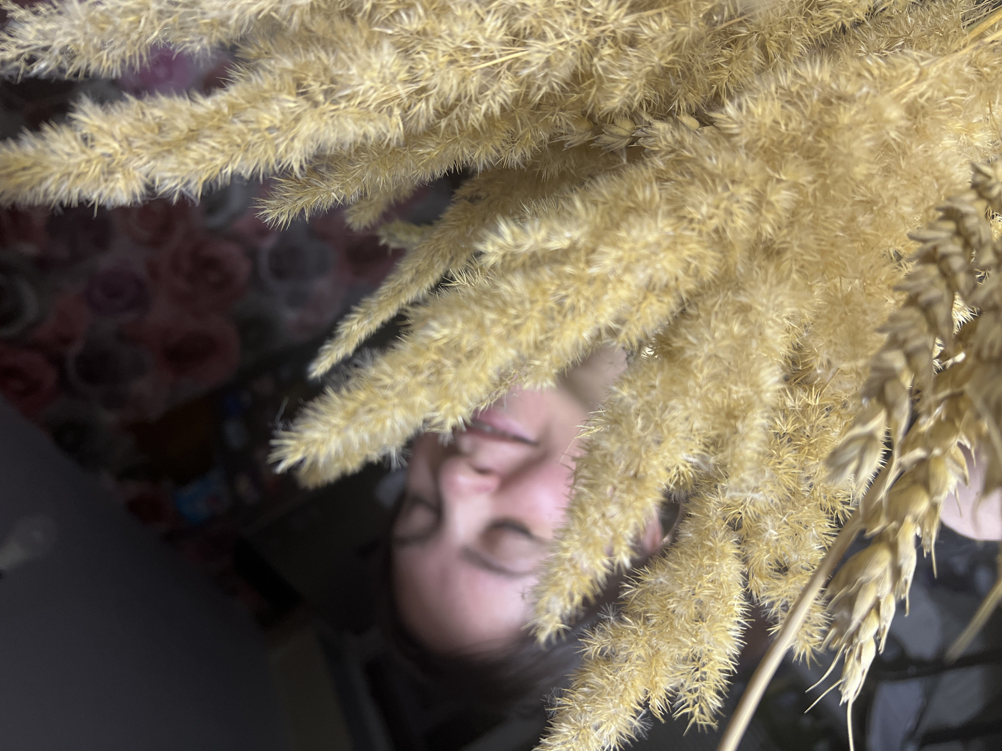 A close-up, tilted shot reveals a person's face partially obscured by stalks of wheat or similar dried grasses. The person has closed eyes and appears relaxed. The foreground is dominated by the yellow-brown foliage of the grasses. The background suggests an indoor setting, with a glimpse of a floral pattern. There is not any information provided to connect this image to Noviy, Russia.