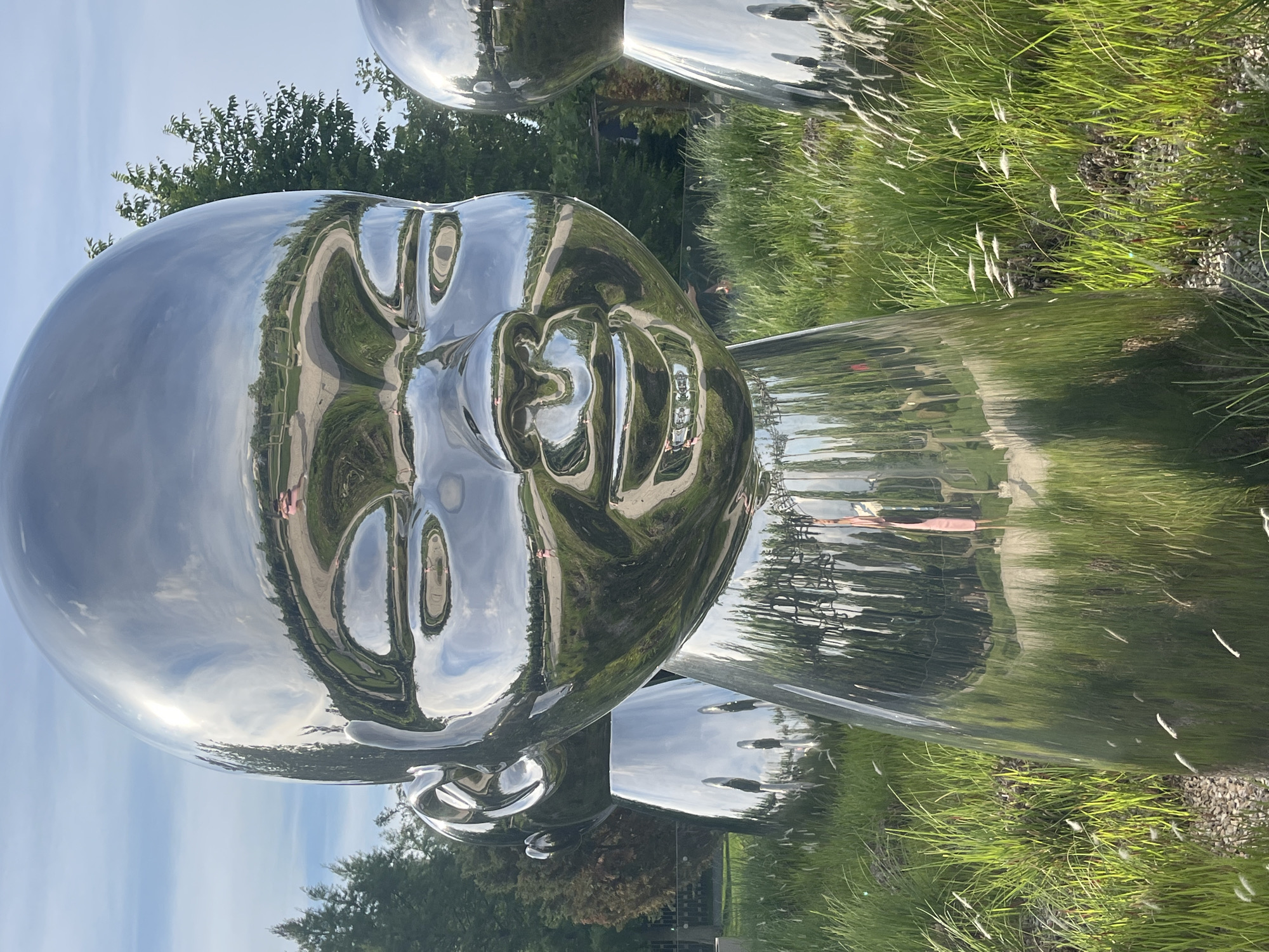 The image shows a large, shiny, reflective sculpture of a child's face in a park setting. The sculpture's surface reflects the surrounding environment, including trees, sky, and a pathway. Green grass and plants grow around the base of the sculpture. There is another sculpture in the background. This is the "Twins" monument located in Krasnodar, Russia.