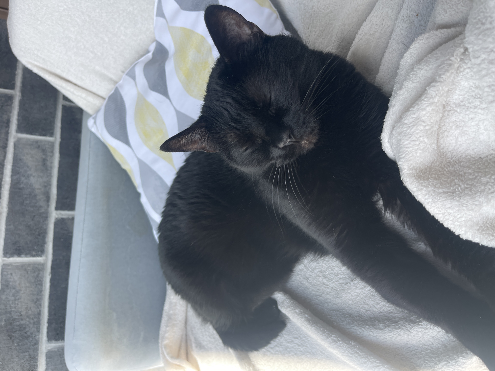 A black cat is curled up and sleeping on a white blanket. The cat is lying on a light gray armchair next to a gray and yellow patterned pillow. Adjacent to the armchair is gray stone flooring. The image was taken indoors, possibly in a residential setting. No people are visible. There is no indication of the location in Gatineau, Canada.