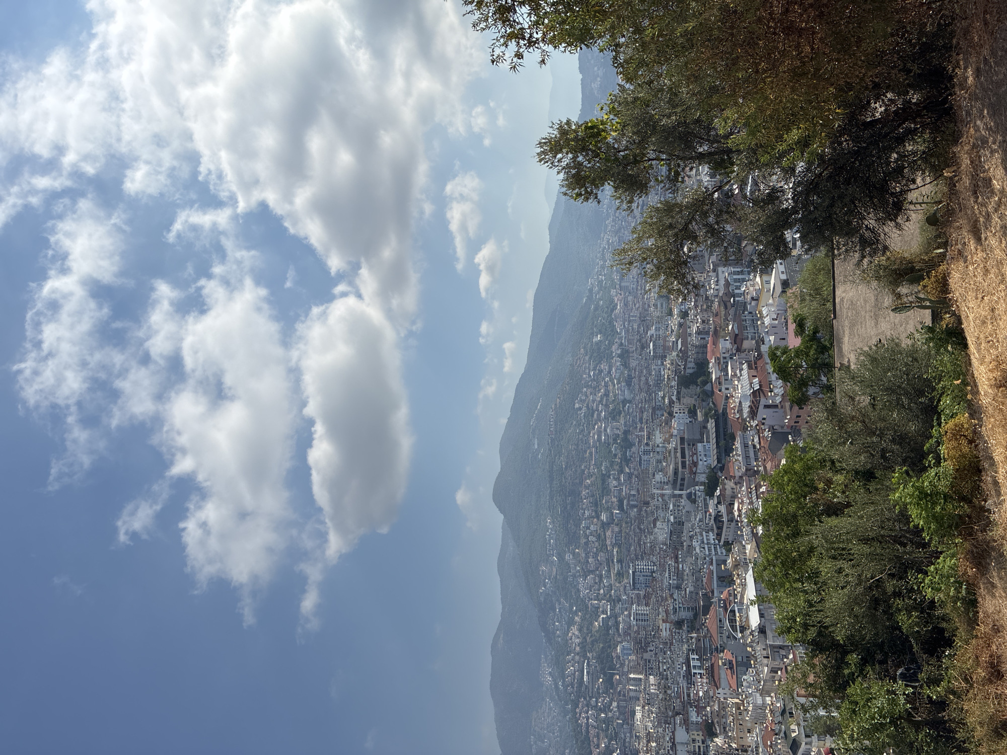 A high-angle, wide shot captures a sprawling urban landscape nestled against rolling, verdant hills under a bright blue sky dotted with fluffy white clouds. The city of Alanya, Turkey, is densely populated with a mix of low-rise residential buildings, many with terracotta roofs, and taller, modern structures. A prominent mosque with a minaret is visible amongst the buildings.
The foreground features a dry, grassy slope covered with scattered shrubs and dry vegetation. To the right, the branches of olive trees with silvery-green leaves create a natural frame for the scene. In the distance, the mountains are covered in dense greenery, with patches of the city climbing their slopes. The overall impression is one of a well-established coastal city situated in a hilly, Mediterranean environment. No people are visible in the image.