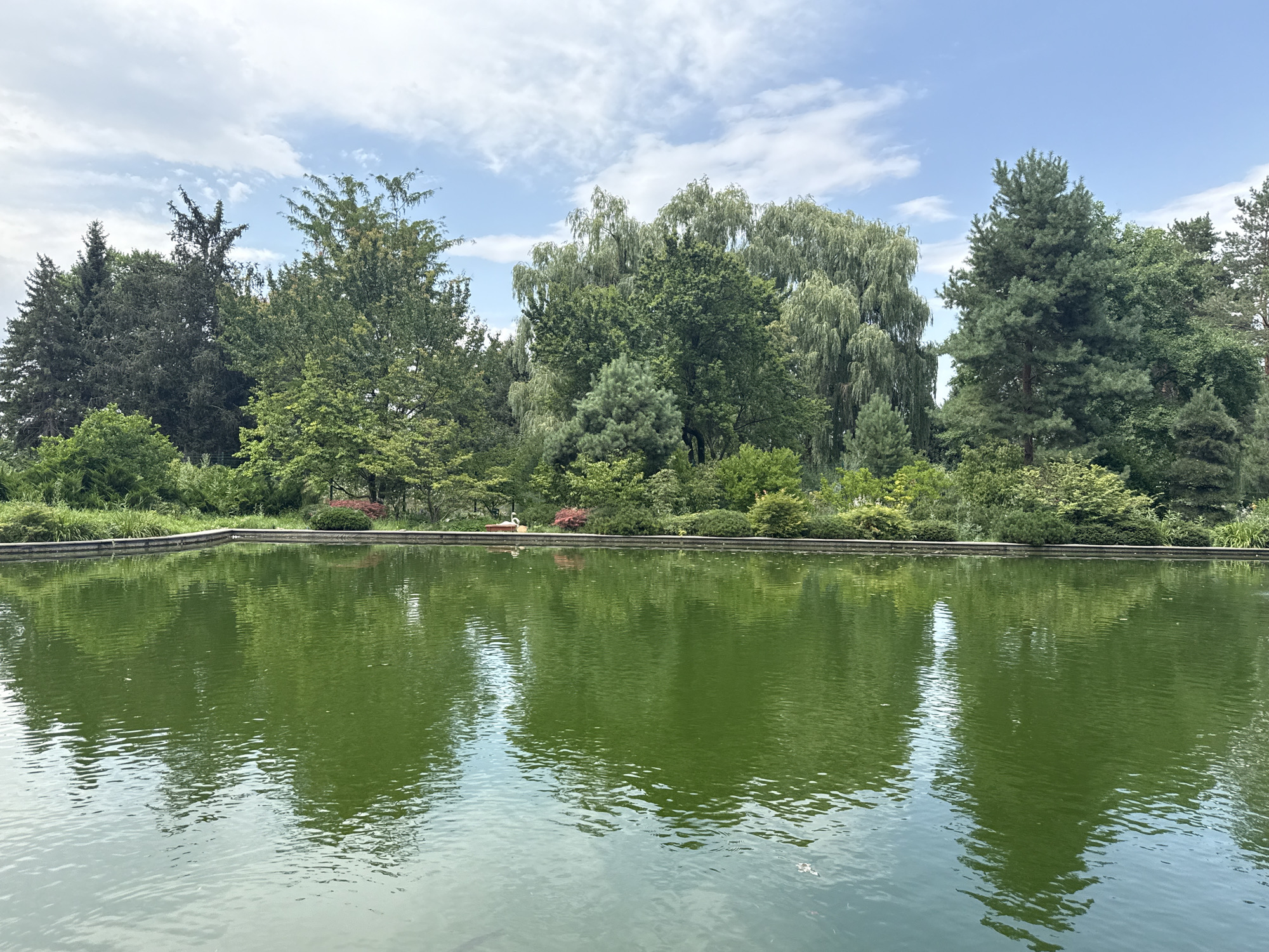 The image depicts a tranquil scene of a pond with lush green trees and a blue sky with white clouds in the background. The pond's surface is calm, reflecting the surrounding greenery. Along the edge of the pond, there is a neatly maintained garden with a variety of plants and shrubs. In the distance, a pair of white statues, possibly flamingos, are visible. The overall impression is one of a serene and well-kept natural setting. This scene is consistent with the landscape found in the Botanical Garden in Almaty, Kazakhstan, known for its diverse flora and peaceful atmosphere.