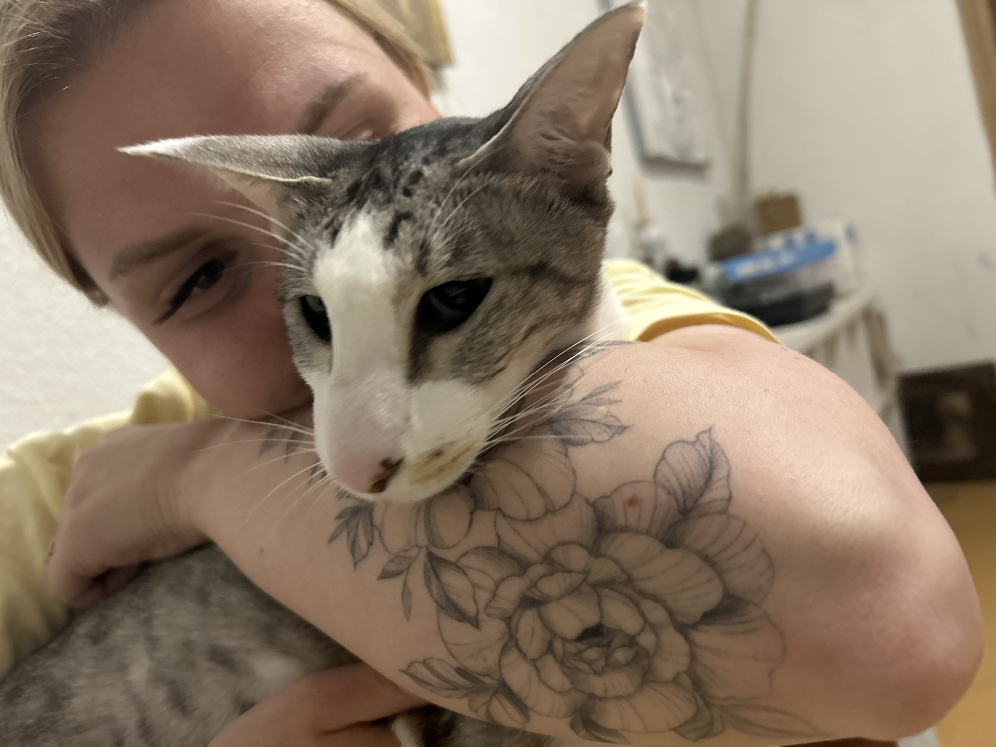 A fair-skinned person with blonde hair is holding a cat. The cat is light gray with white markings and has large, pointed ears. The person is wearing a yellow shirt and has a floral tattoo on their arm. The background is blurry, but there appears to be furniture and possibly a picture on the wall. There are no details in the image to suggest this is in Barcelona, Spain.