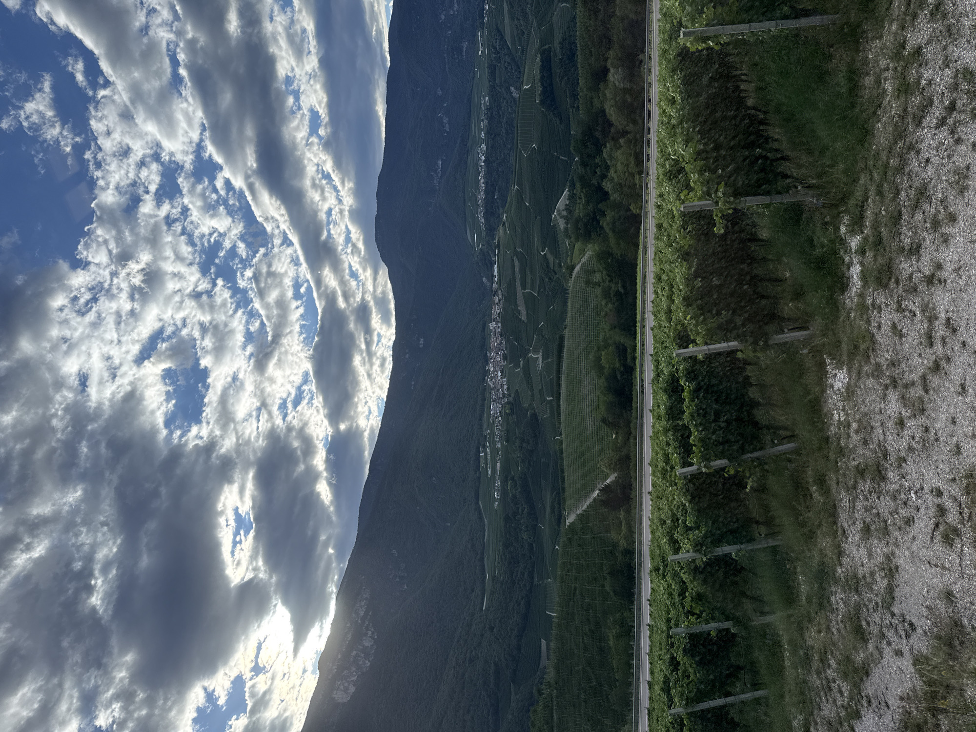 The image displays a scenic view of a valley with terraced vineyards leading up to mountains under a partly cloudy sky. In the foreground, rows of lush green grapevines are supported by wooden posts. A paved road runs horizontally across the mid-ground, separating the vineyards. Further into the distance, a small village with buildings is nestled within the valley, surrounded by more vineyards that follow the contours of the rolling hills. The background is dominated by dark, tree-covered mountains under a dramatic sky with patches of blue and heavy clouds illuminated by sunlight. This landscape is consistent with the region around Spormaggiore, Italy, known for its viticulture and mountainous terrain. There are no people or animals visible in the frame. The overall impression is one of a rural, agricultural landscape in a mountainous area.