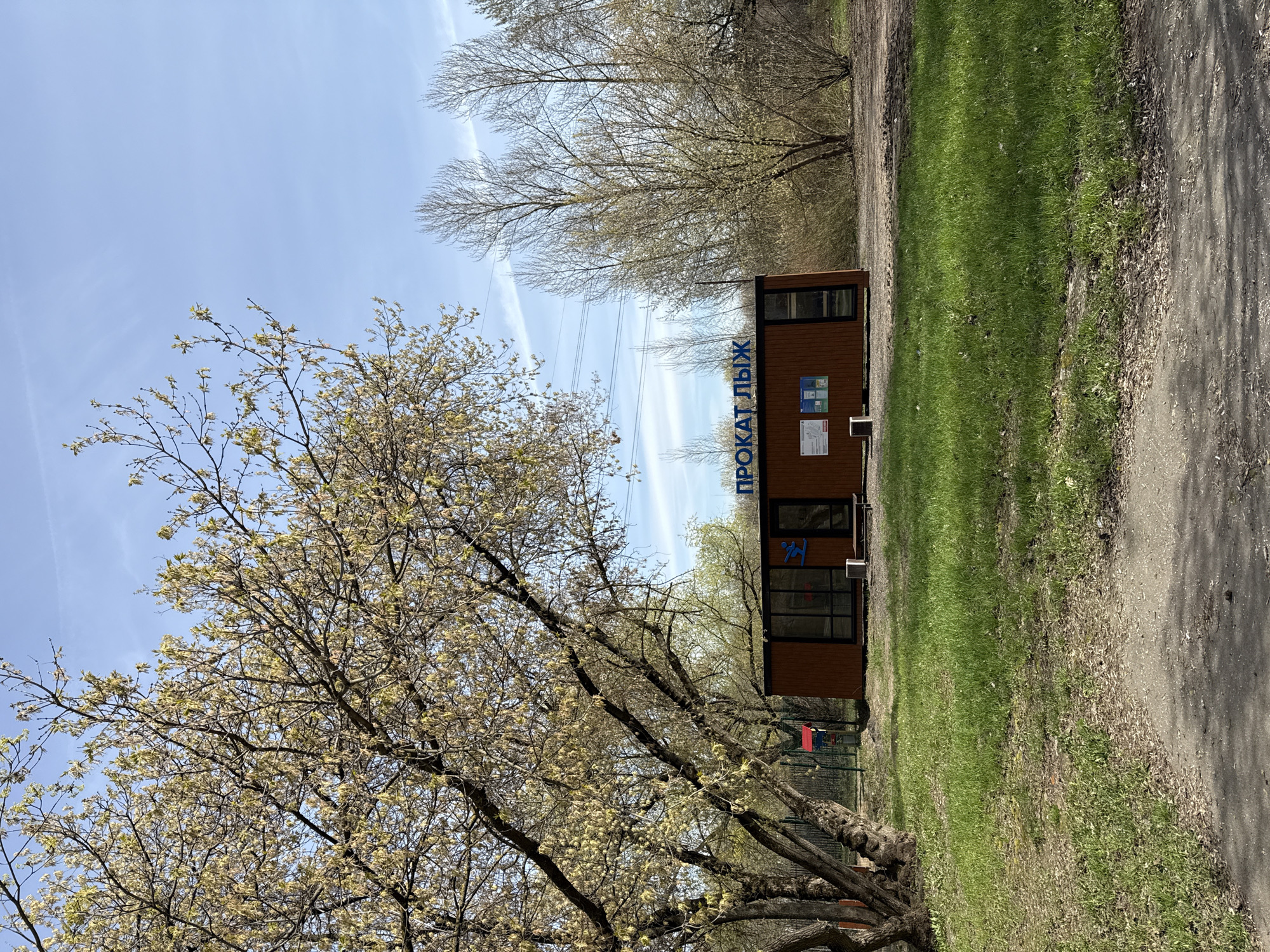 The image captures a scene in Moscow, Russia, featuring a "Ski Rental" building ("ПРОКАТ ЛЫЖ" in Russian). The building is a modular, brown structure positioned along a path bordered by green grass and a wooded area. A large tree with sparse foliage is in the foreground. The sky is partly cloudy, with thin contrails visible. An overhead power line spans the scene. A glimpse of a red and blue structure suggests a playground or recreational area in the background. The image is rotated ninety degrees counterclockwise.