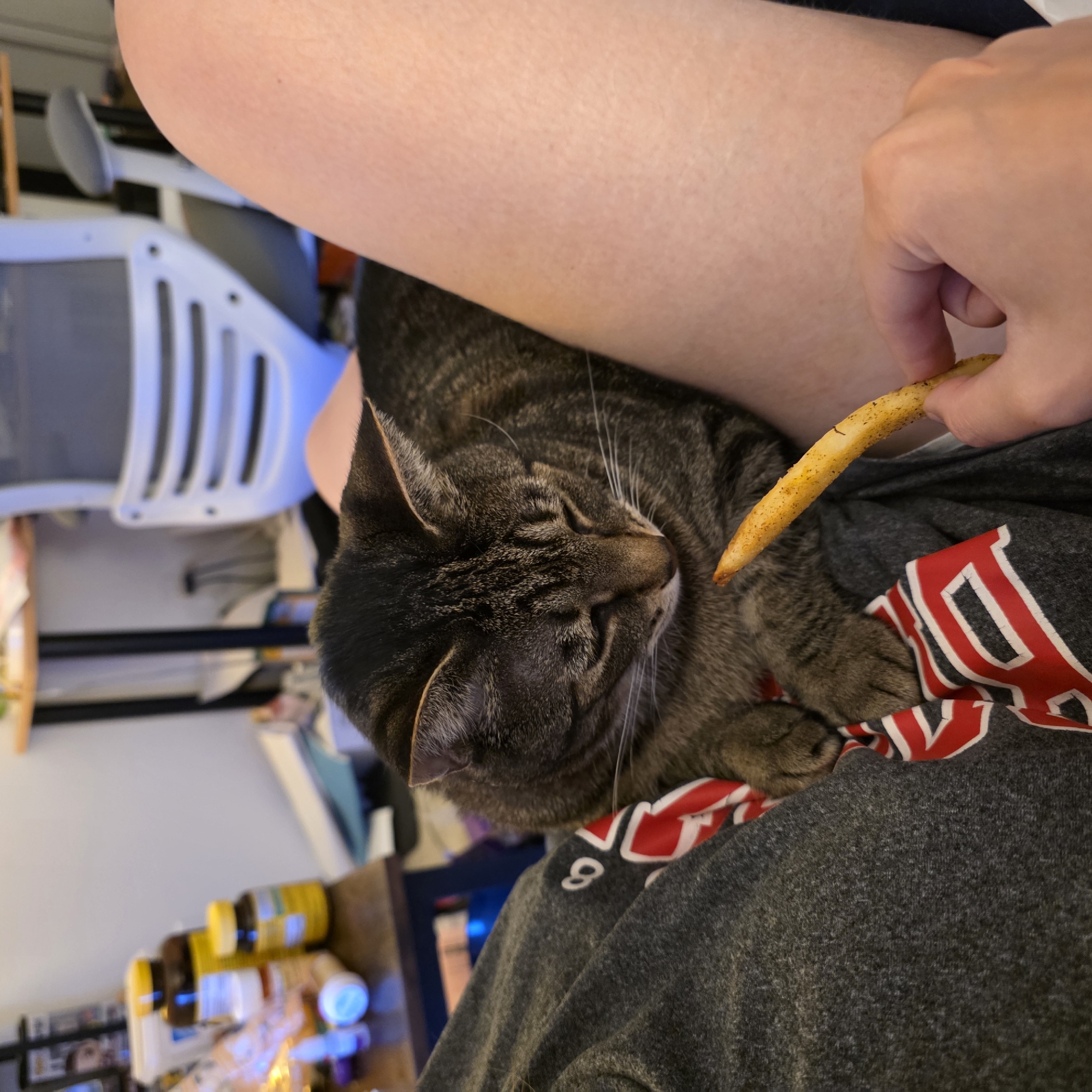 A tabby cat is being offered a french fry by a person's hand in what appears to be a home environment. The cat is resting on a person's lap, visible legs and grey sweatpants with a red and white pattern. In the background, a desk with various items including pill bottles and papers, and an office chair are present. The scene is dimly lit and captured from a close-up perspective. There is no information available to suggest this image was taken in Portland, United States of America.