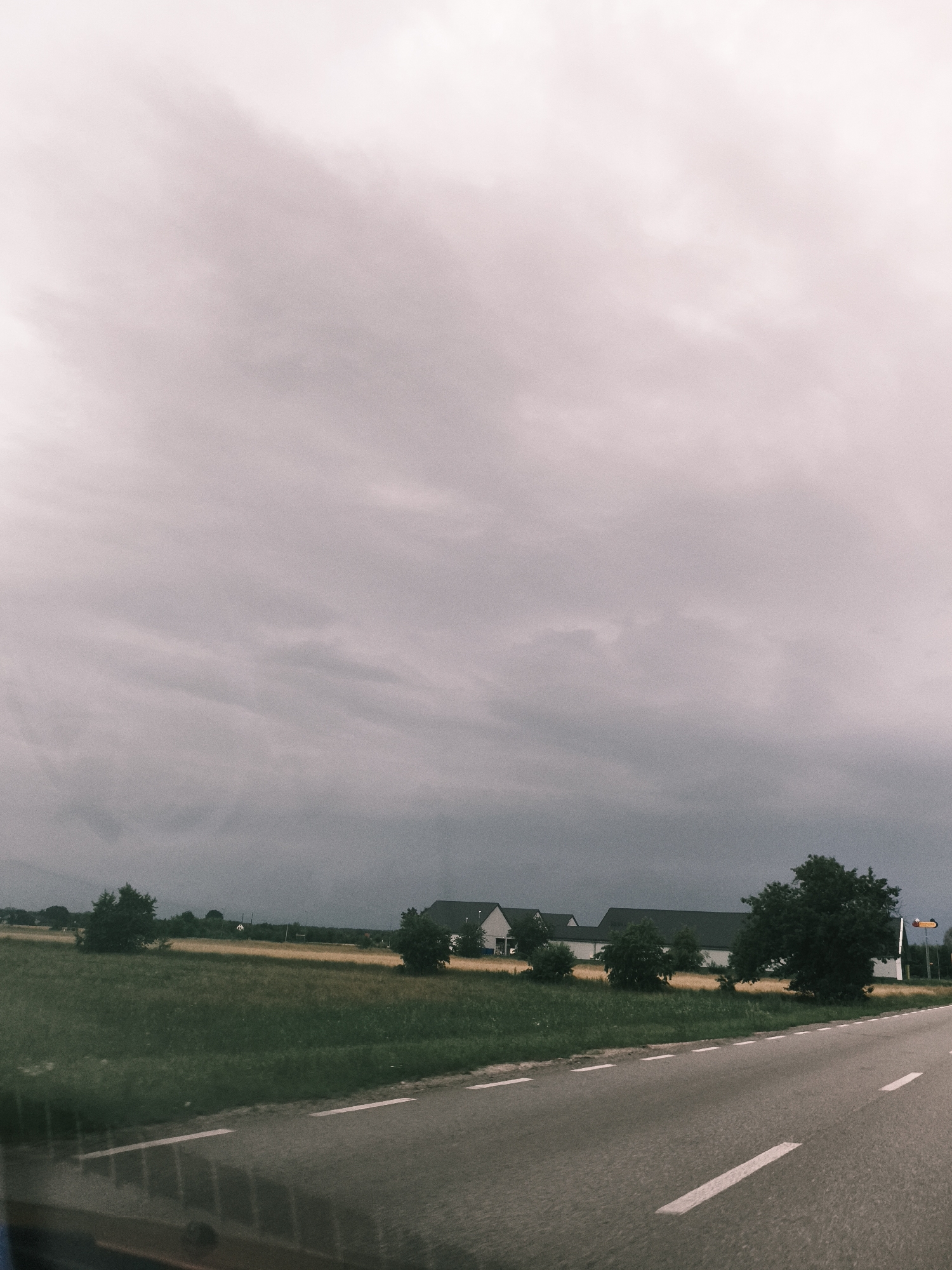 The image depicts a grey, overcast sky with prominent cloud formations above a rural landscape. In the middle ground, a line of buildings with dark roofs and white walls are visible, situated behind a field of green grass and golden crops. Several trees, including a large, full-bodied tree on the right, punctuate the landscape. A road with white dashed and solid lines runs along the bottom right of the image, suggesting it is a pathway or highway. A traffic sign with yellow and red elements is present on the far right. The scene appears to be in or near Kałuszyn, Poland.