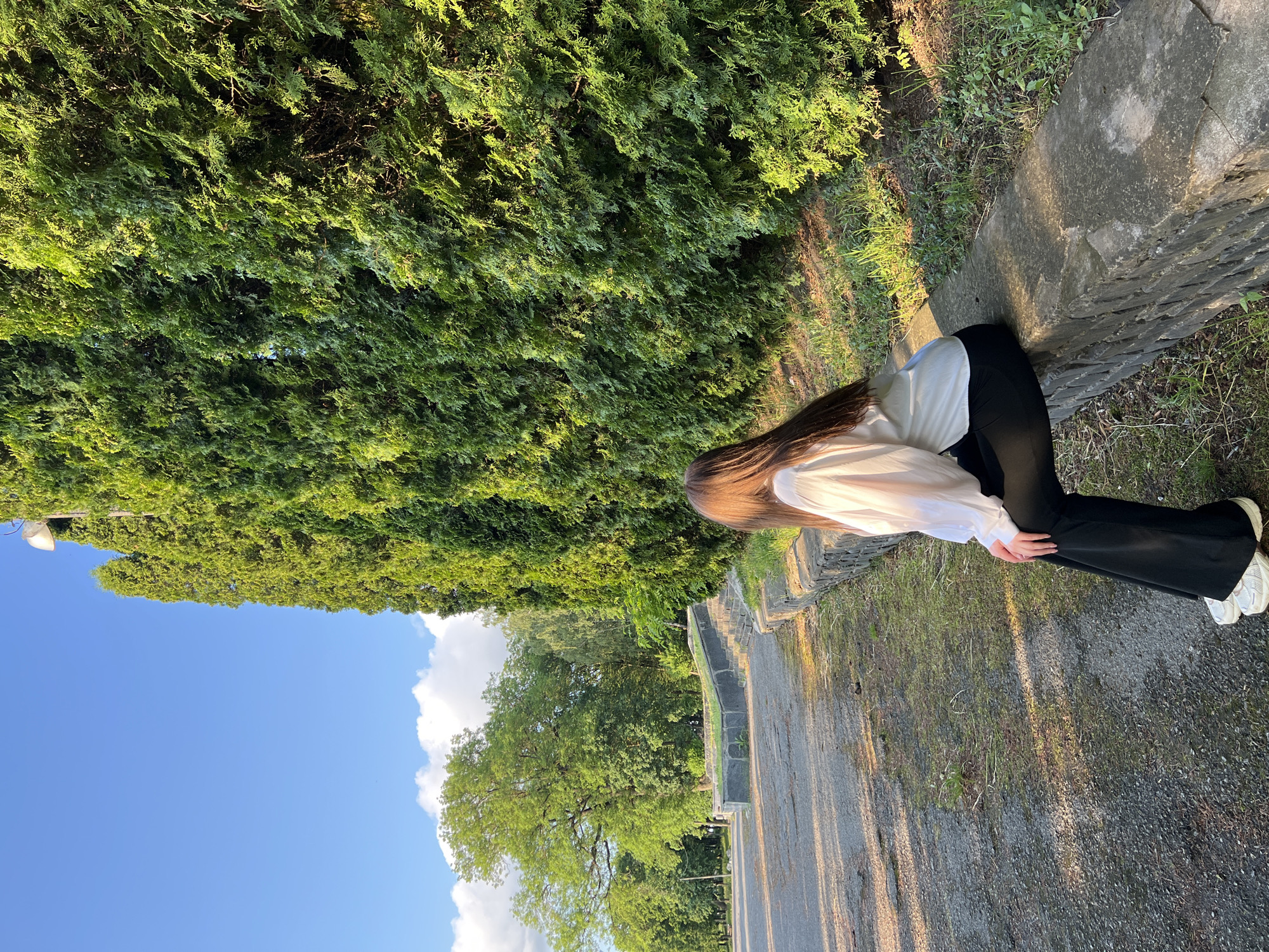 This image captures an outdoor scene in Zbarazh, Ukraine, featuring a person kneeling by a weathered stone wall. The setting appears to be a path or walkway, possibly within a park or historical grounds, given the natural elements and the type of stone wall.
The main subject is a person, viewed from behind, with long, straight light brown hair. They are dressed in a white long-sleeved shirt or blouse and dark, likely black, flared trousers or wide-legged pants, paired with white sneakers. The person is kneeling or crouching on the gravel path beside a low, rough-hewn stone wall that extends along the right side of the frame. Their posture suggests a moment of observation or rest.
The scene is rich with greenery. A tall, dense hedge of conifer trees, possibly cypress or thuja, dominates the left side of the image, showcasing various shades of green. Further in the background, to the right, are large deciduous trees with lighter green foliage, and patches of grass and weeds grow along the path and at the base of the stone wall. The sky is clear and blue with scattered white, fluffy clouds.
The lighting indicates late afternoon or early evening, with warm, soft sunlight illuminating the tops of the trees and the person's hair, casting long shadows across the gravel path. No text is visible in the image.