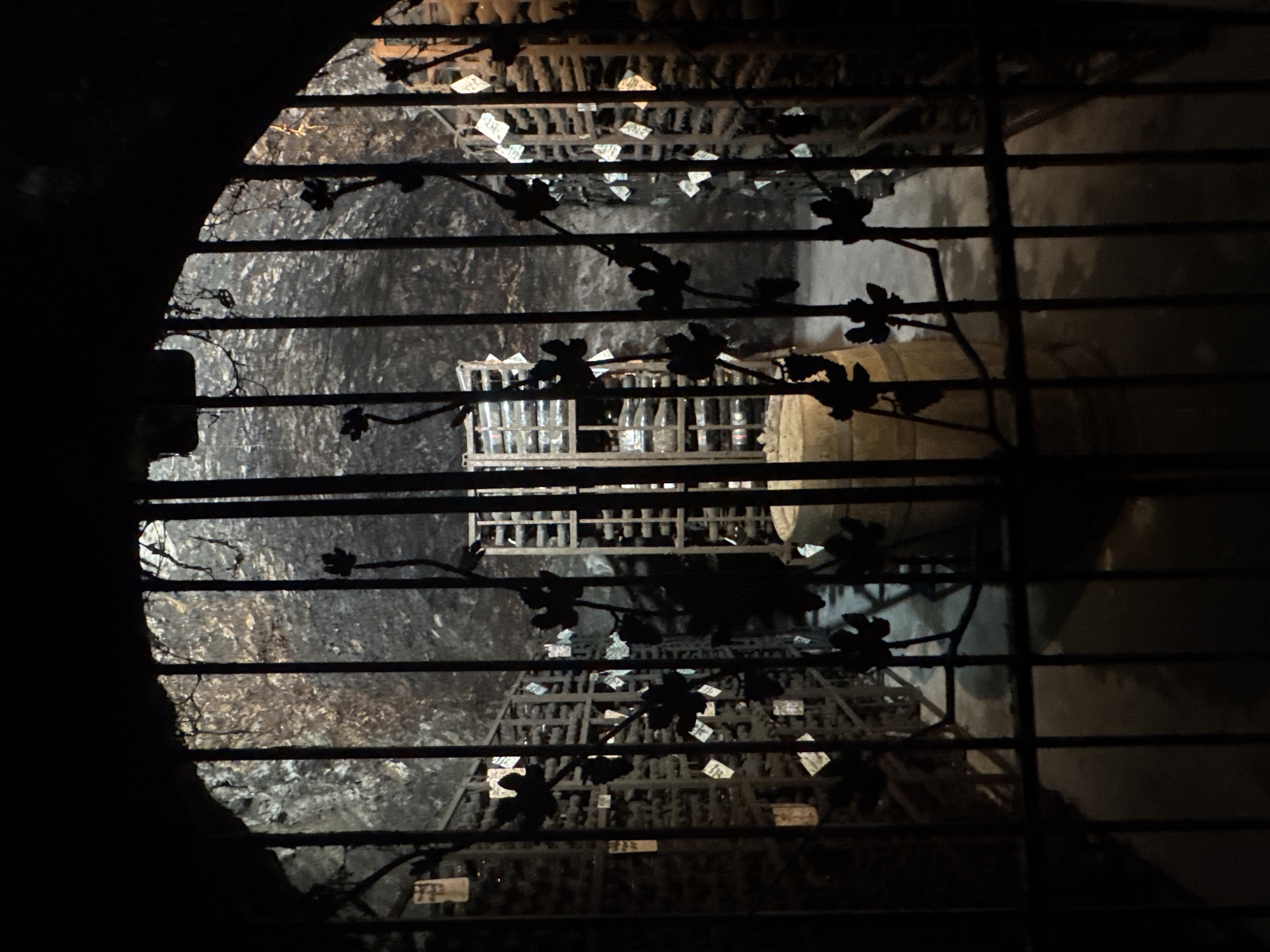 This forensic description details an underground wine cellar, located in Harsovo, Bulgaria, viewed through a dark, ornate metal gate. The gate, silhouetted in the foreground, is arched at the top and features vertical bars interspersed with decorative, intertwined grape vine motifs, including leaves and grape clusters.
Beyond the gate, the cellar's interior is dimly lit, revealing rough, uneven walls and a ceiling that appear to be excavated from rock or earth, exhibiting varying textures and shades of grey and brown. Along both visible sides of the cellar, multiple tiers of dark shelving units are packed with horizontally stored wine bottles. Numerous bottles are adorned with small, light-colored identification tags or labels.
In the midground, towards the center-left, a large, light-toned wooden wine barrel rests on the concrete or stone floor. The floor extends deeper into the cellar, dimly lit and free of obstructions. No individuals are present, and no actions or interactions are depicted within the scene. The overall environment suggests a facility for the long-term storage and aging of wine.